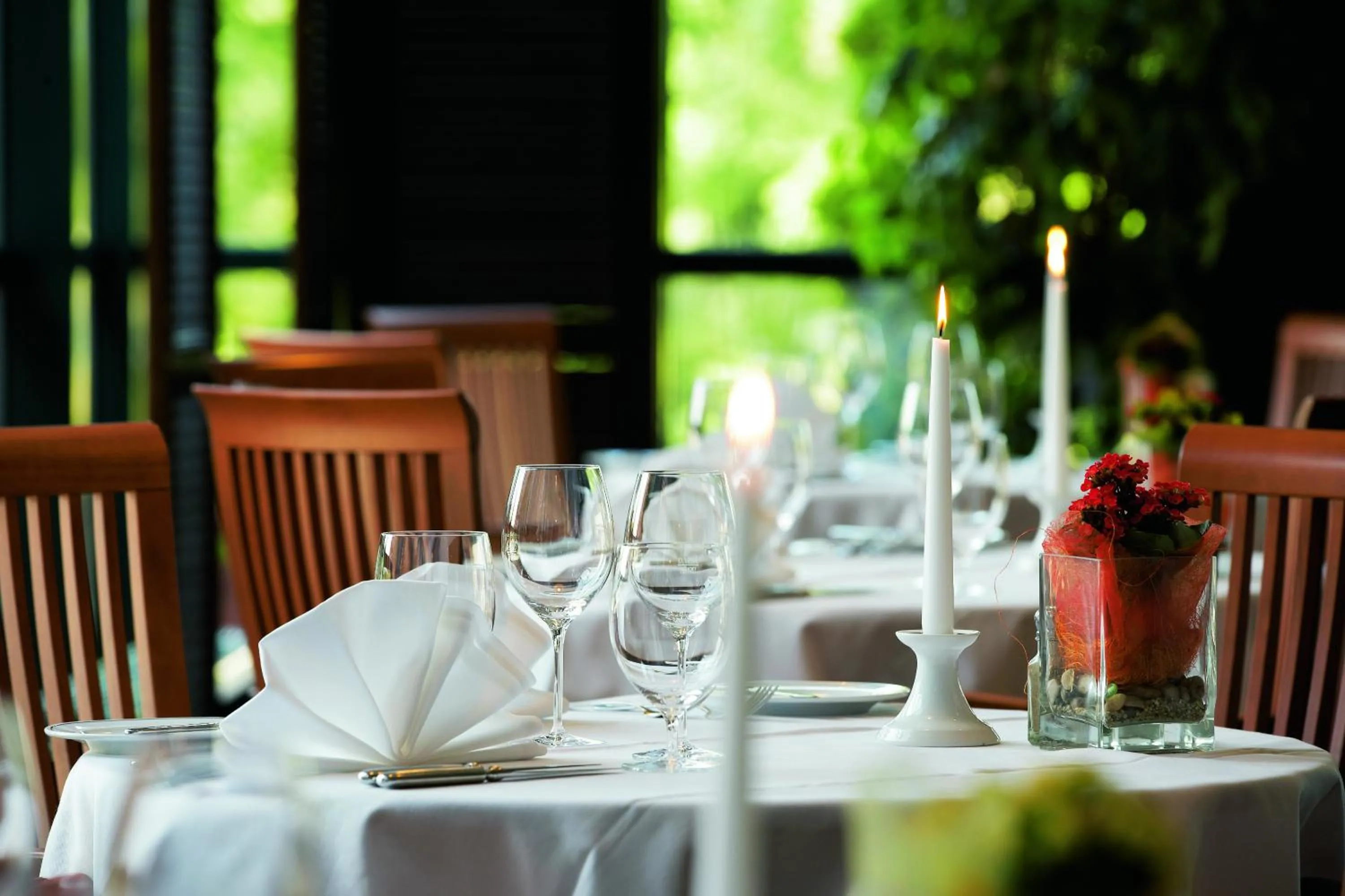 Restaurant/places to eat in Trans World Hotel Donauwelle