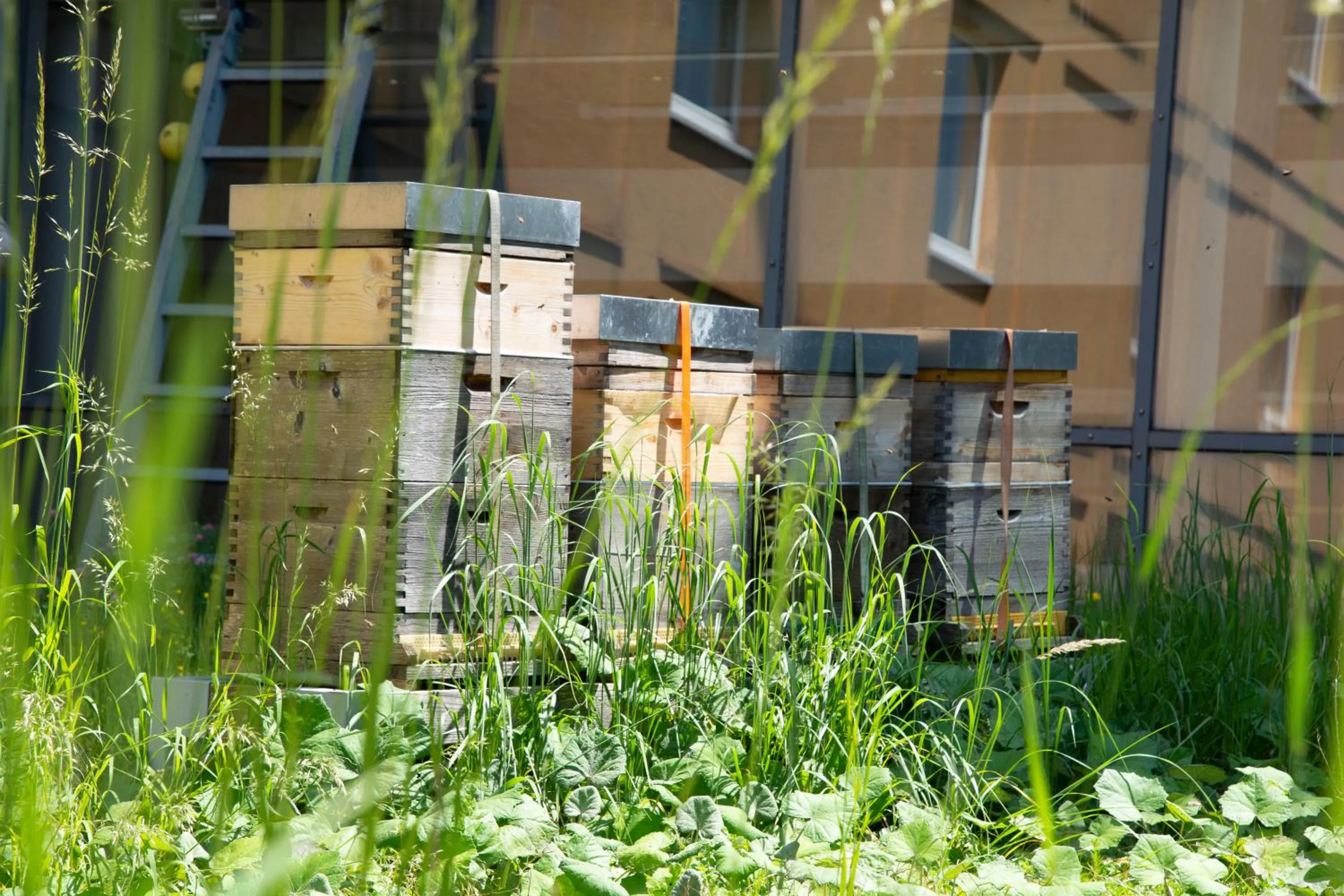 Patio in Trans World Hotel Donauwelle