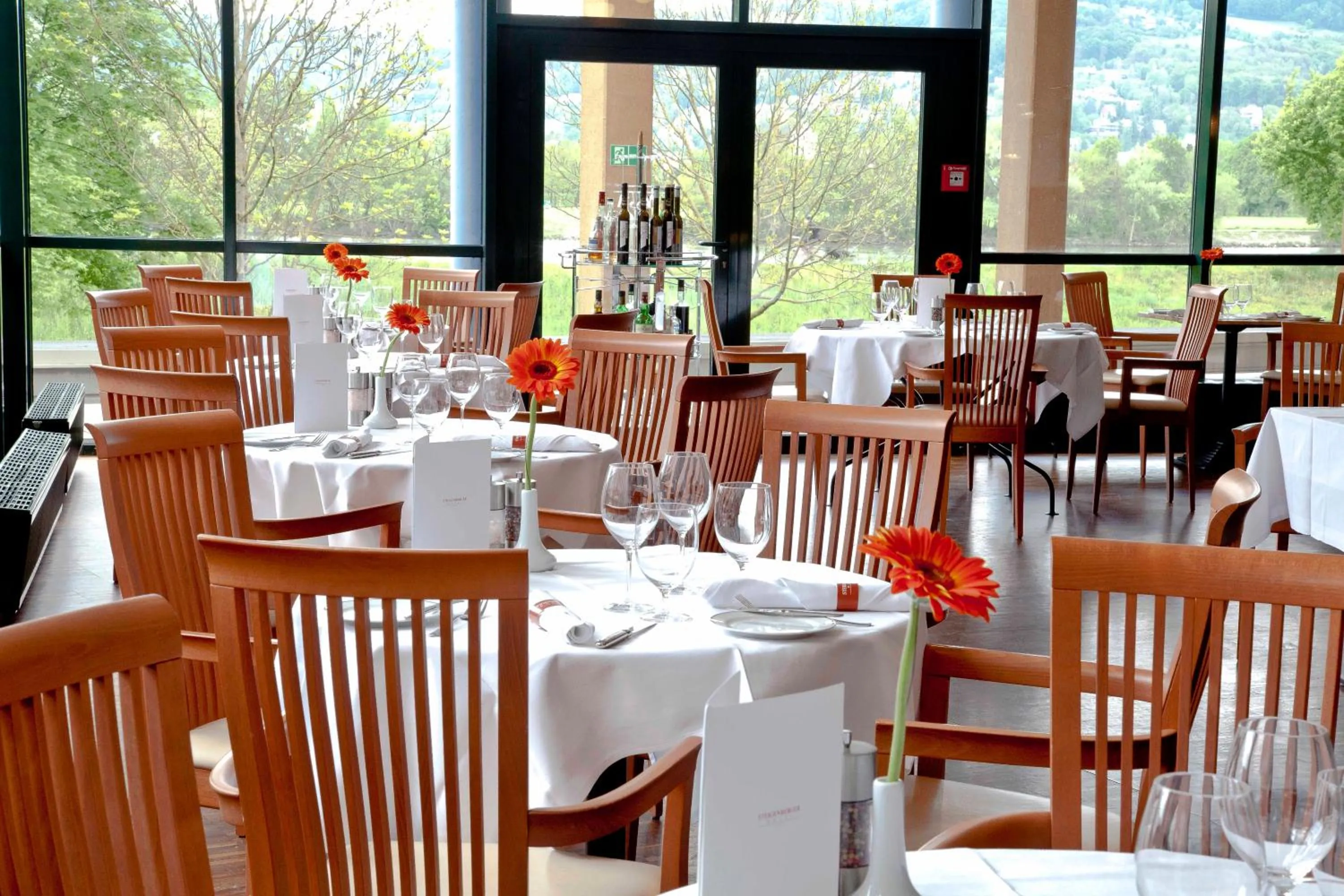 Restaurant/places to eat in Trans World Hotel Donauwelle