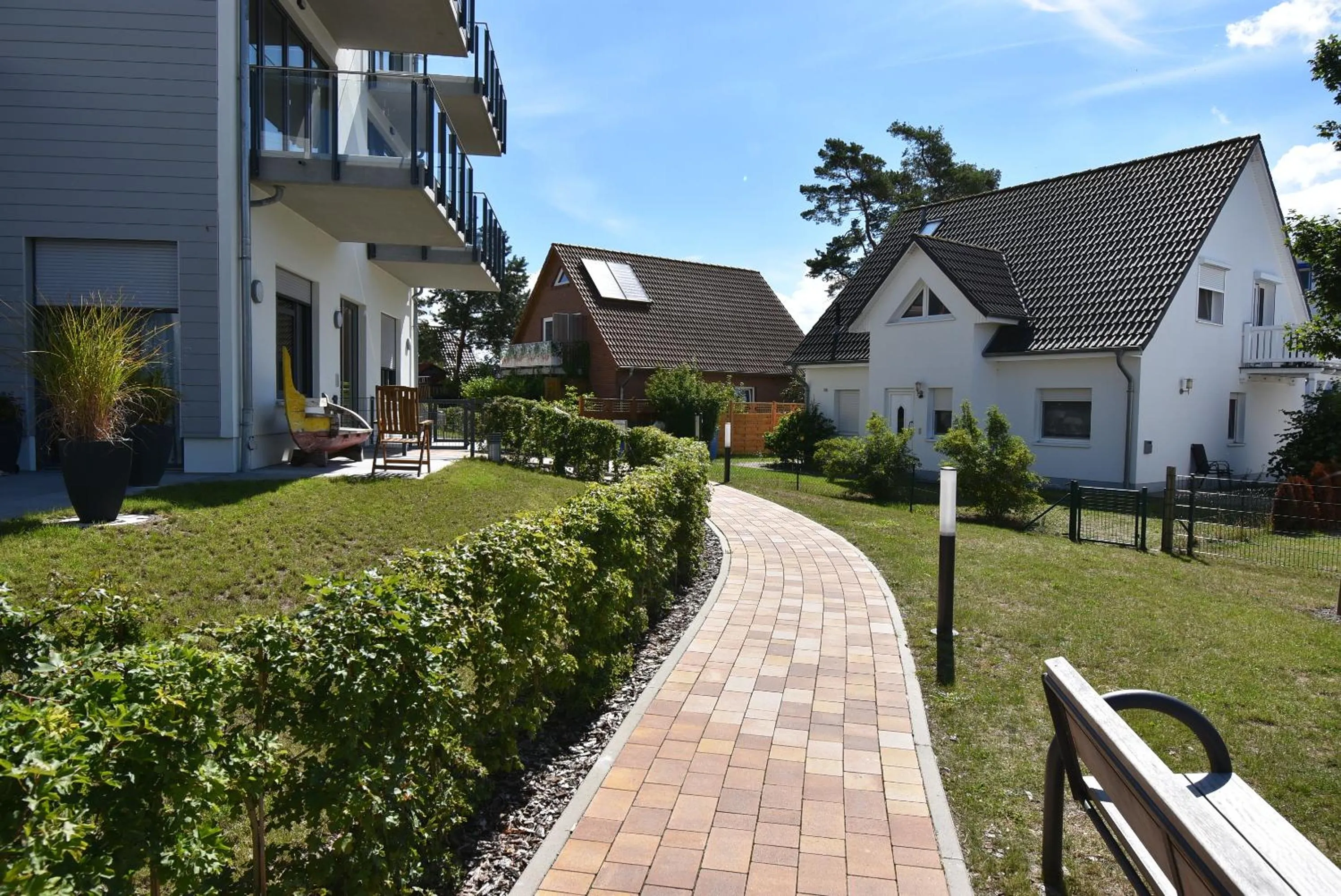 Kleine Robbe
