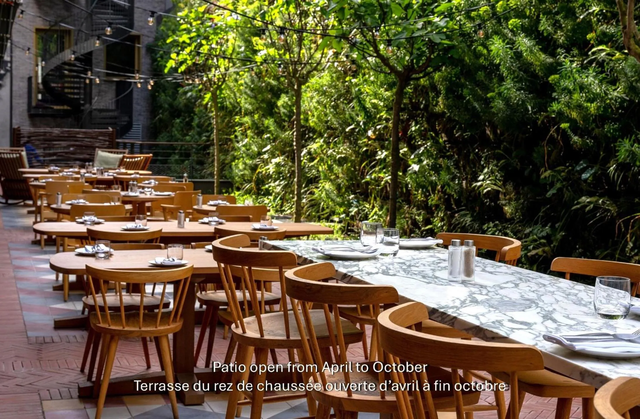 Restaurant/places to eat in Villa M