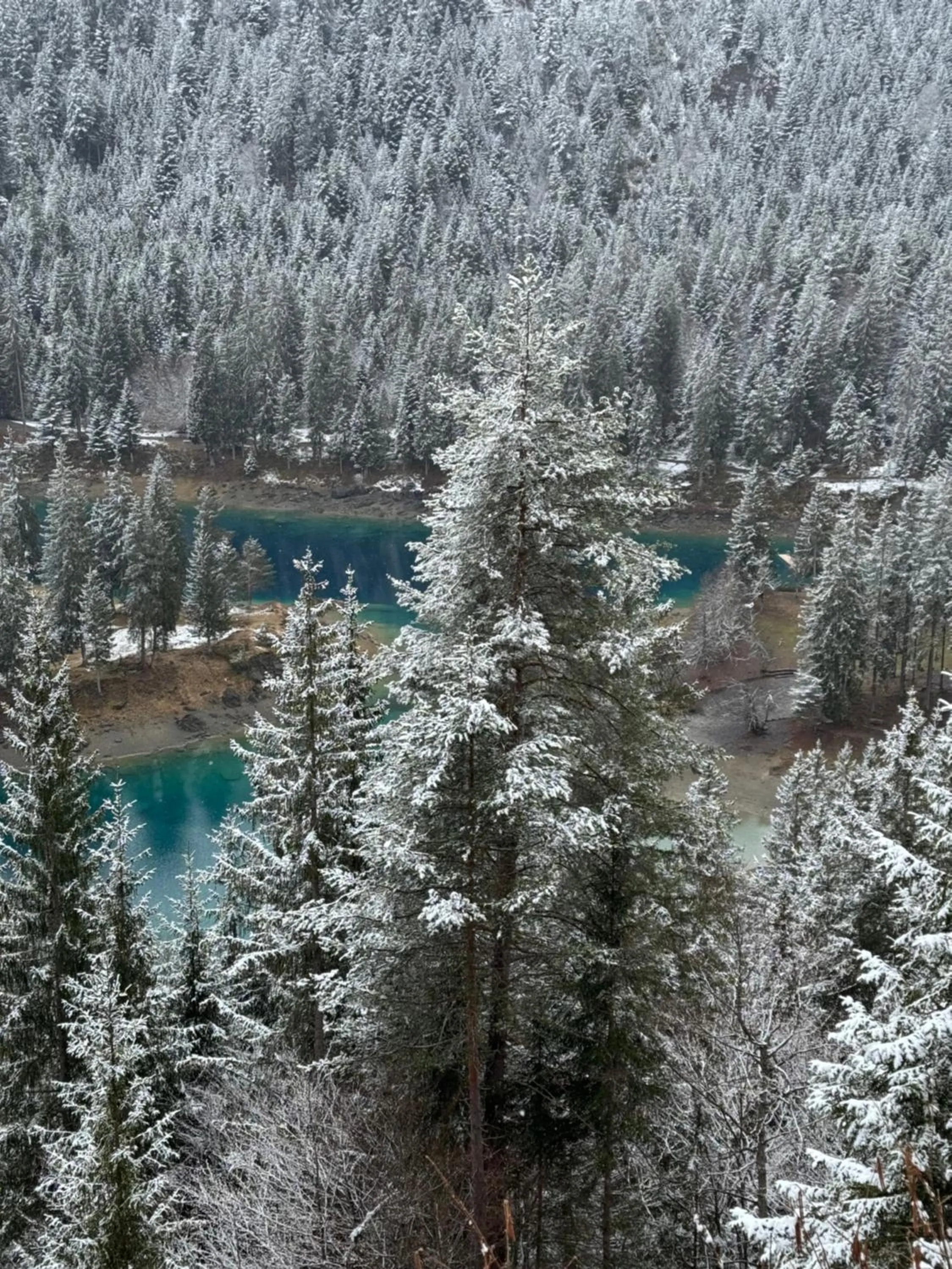 Natural landscape in Waldheim Laax Pension