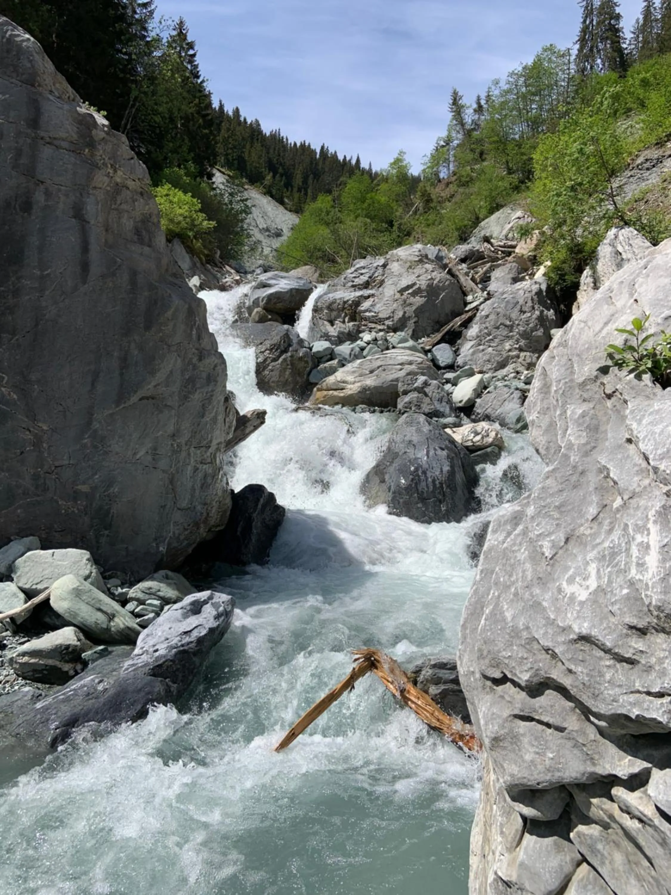 Natural landscape in Waldheim Laax Pension
