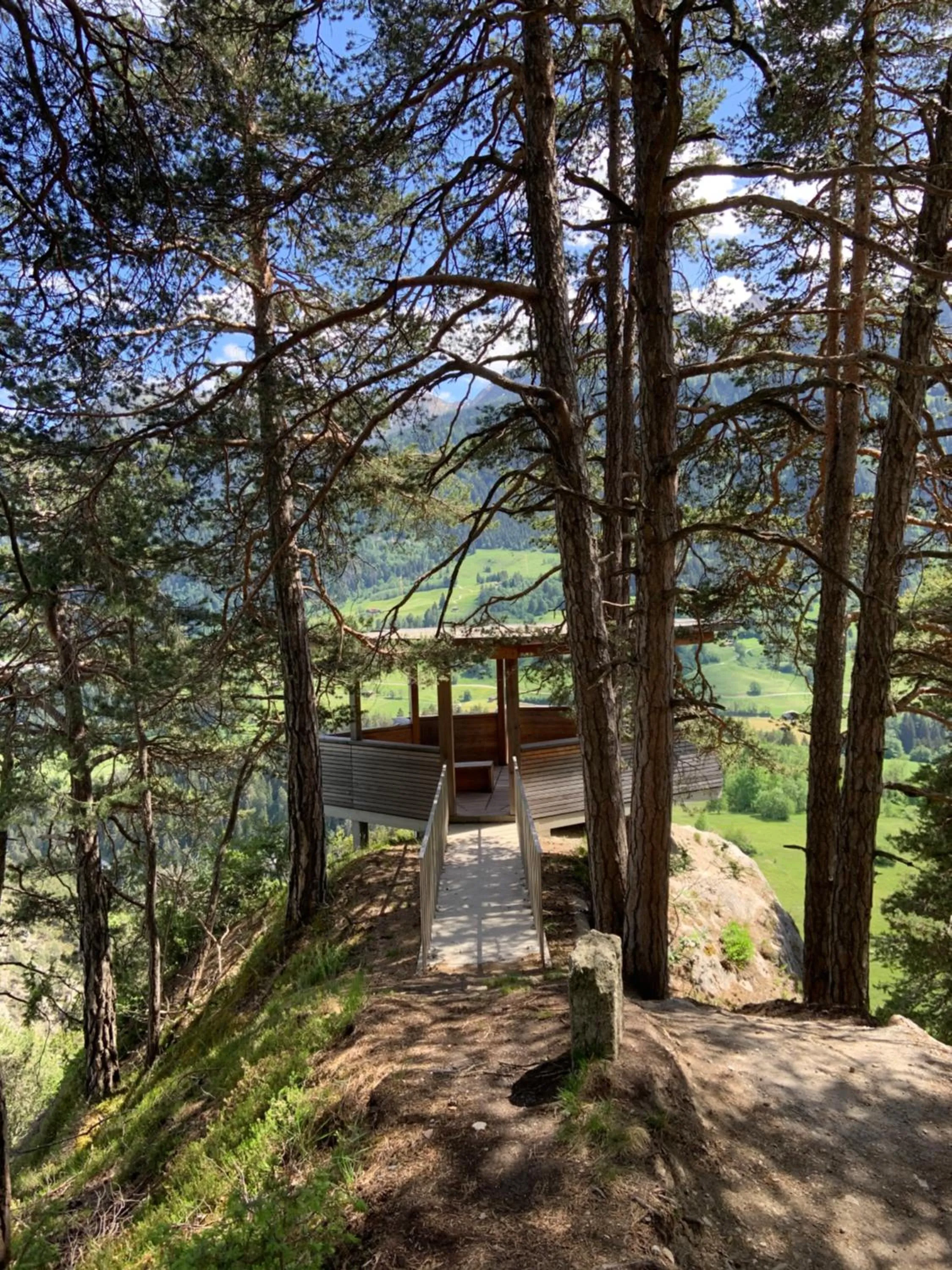 Natural landscape in Waldheim Laax Pension