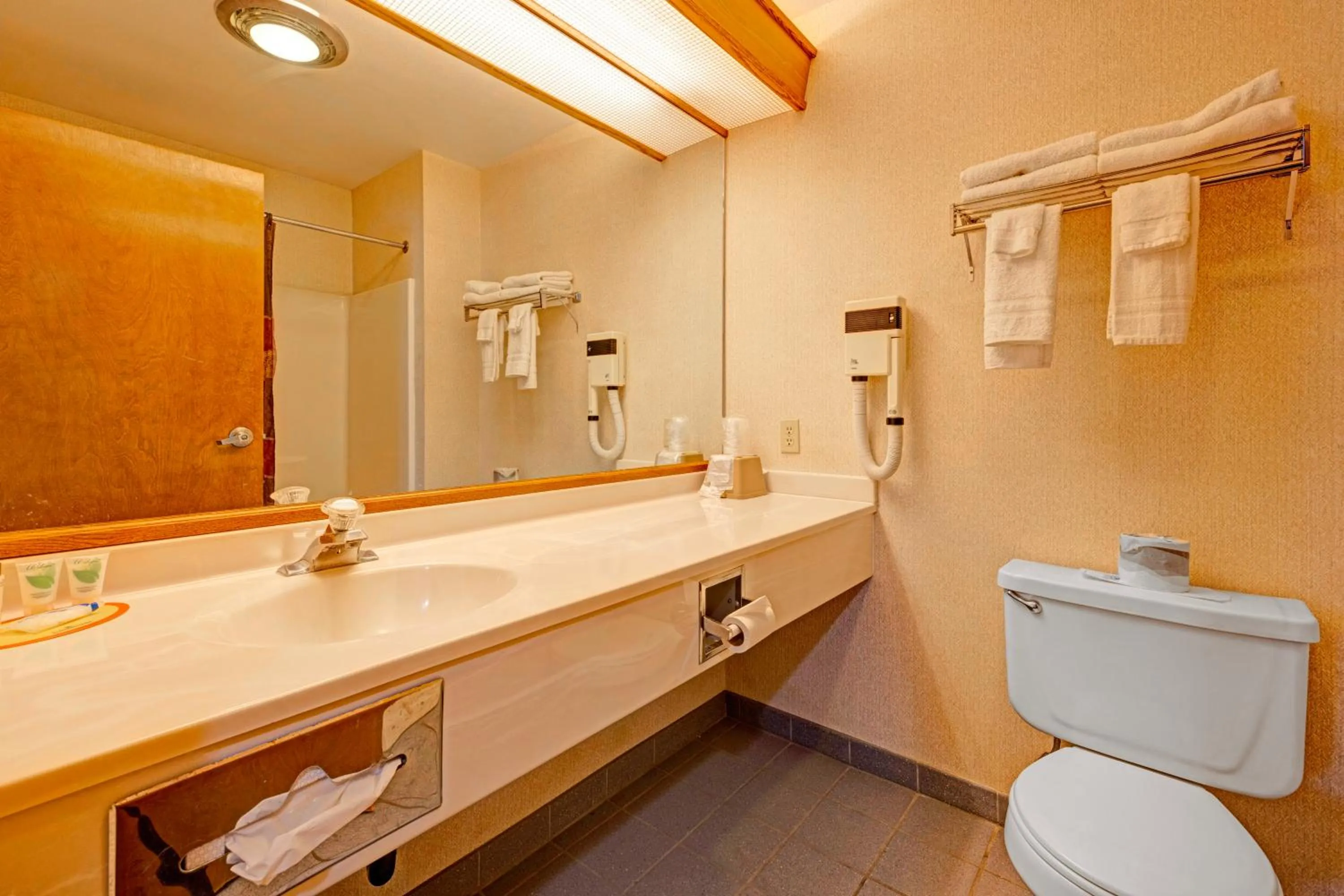 Bathroom in Capital O Stevenson Inn Riverside