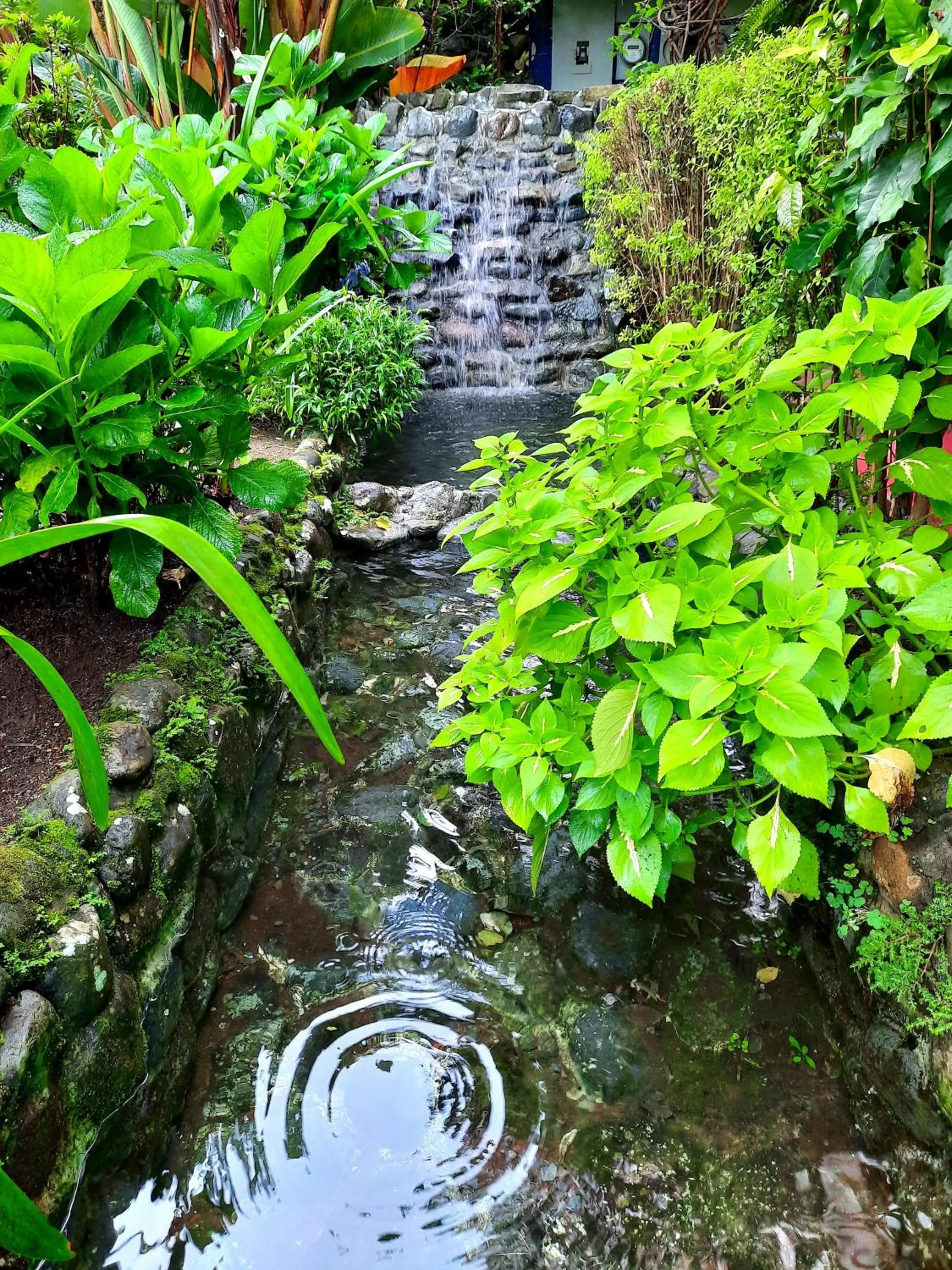 Natural landscape in Cabañas San Miguel