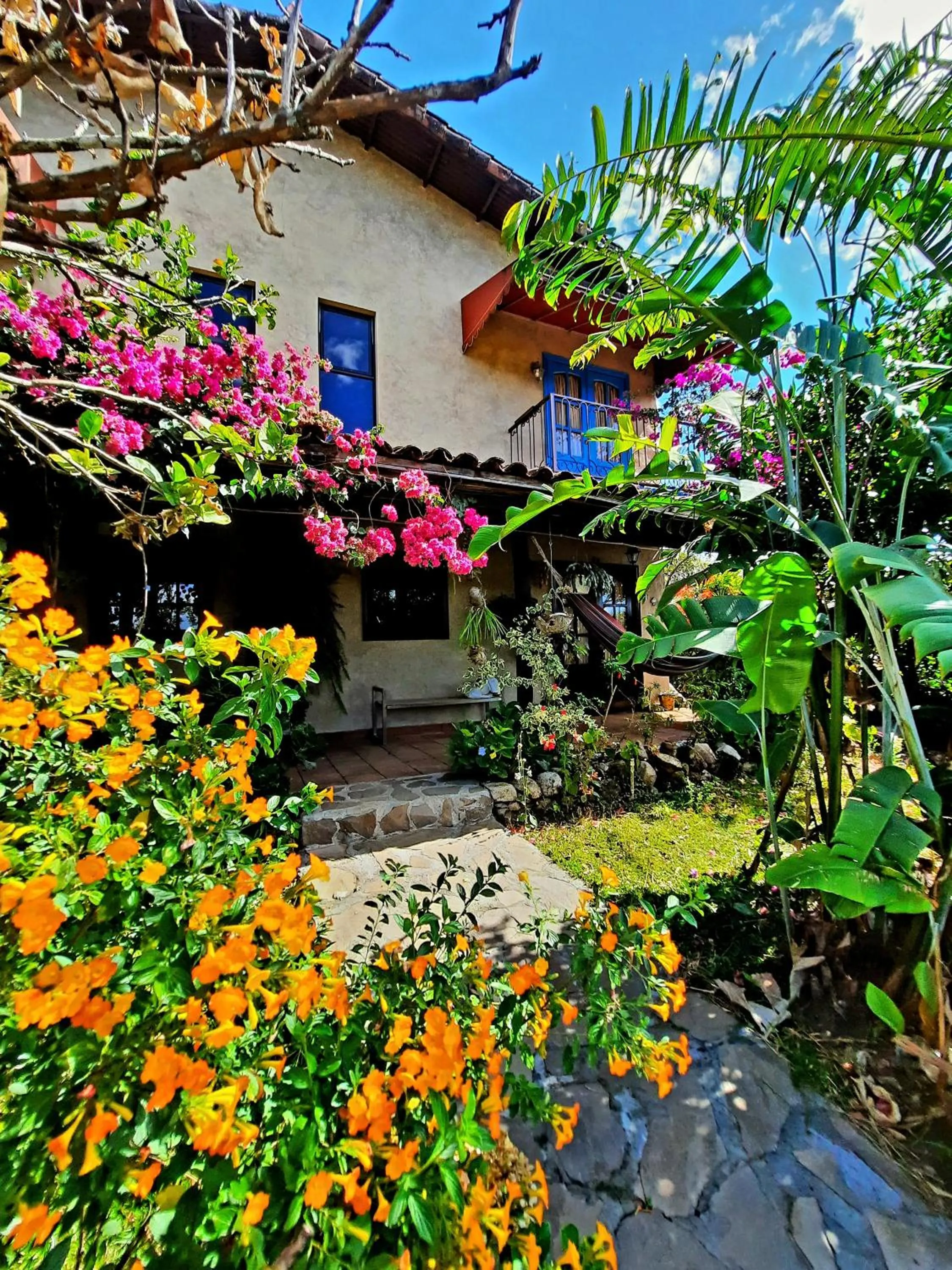 Garden in Cabañas San Miguel