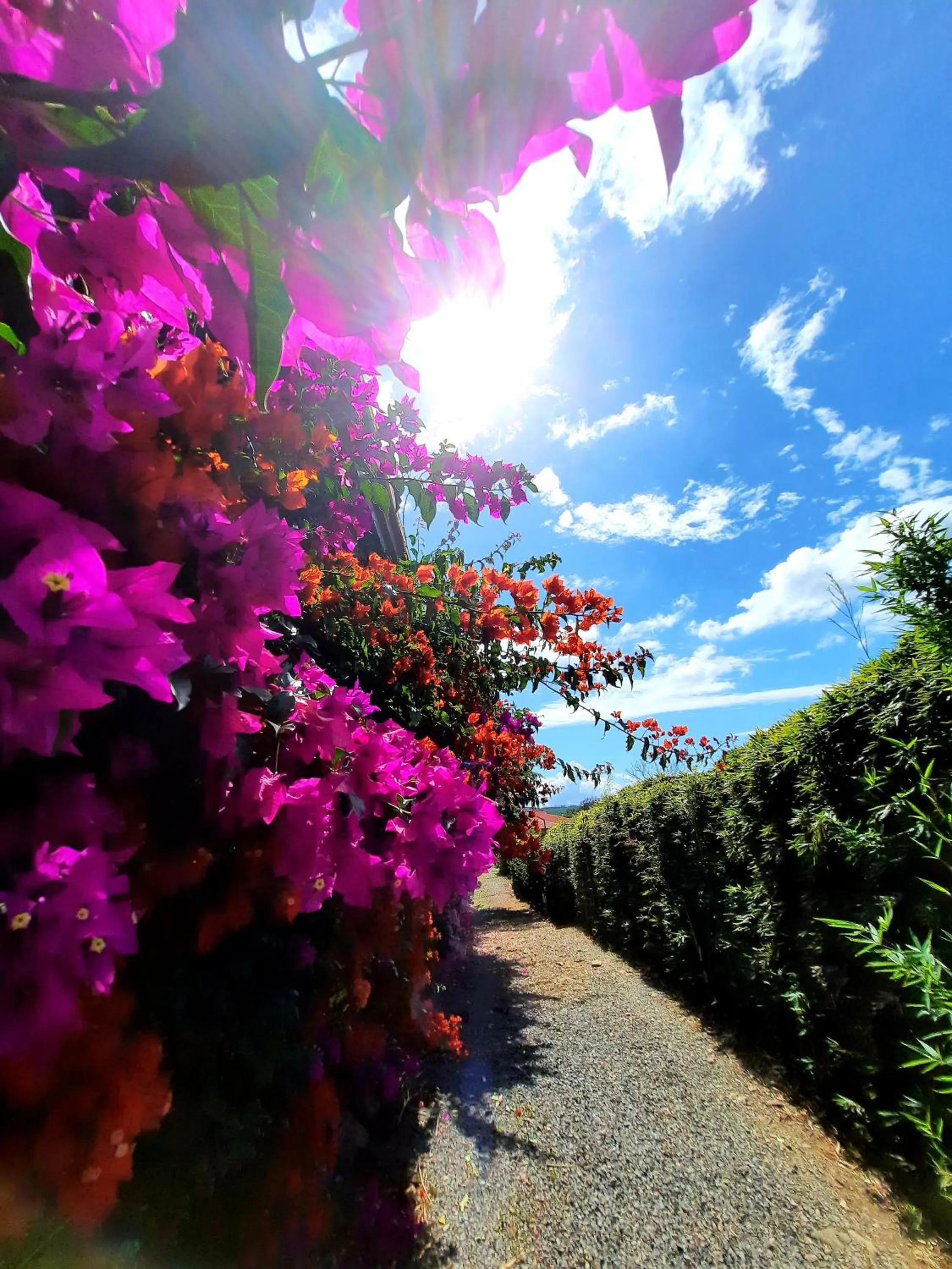 Natural landscape in Cabañas San Miguel