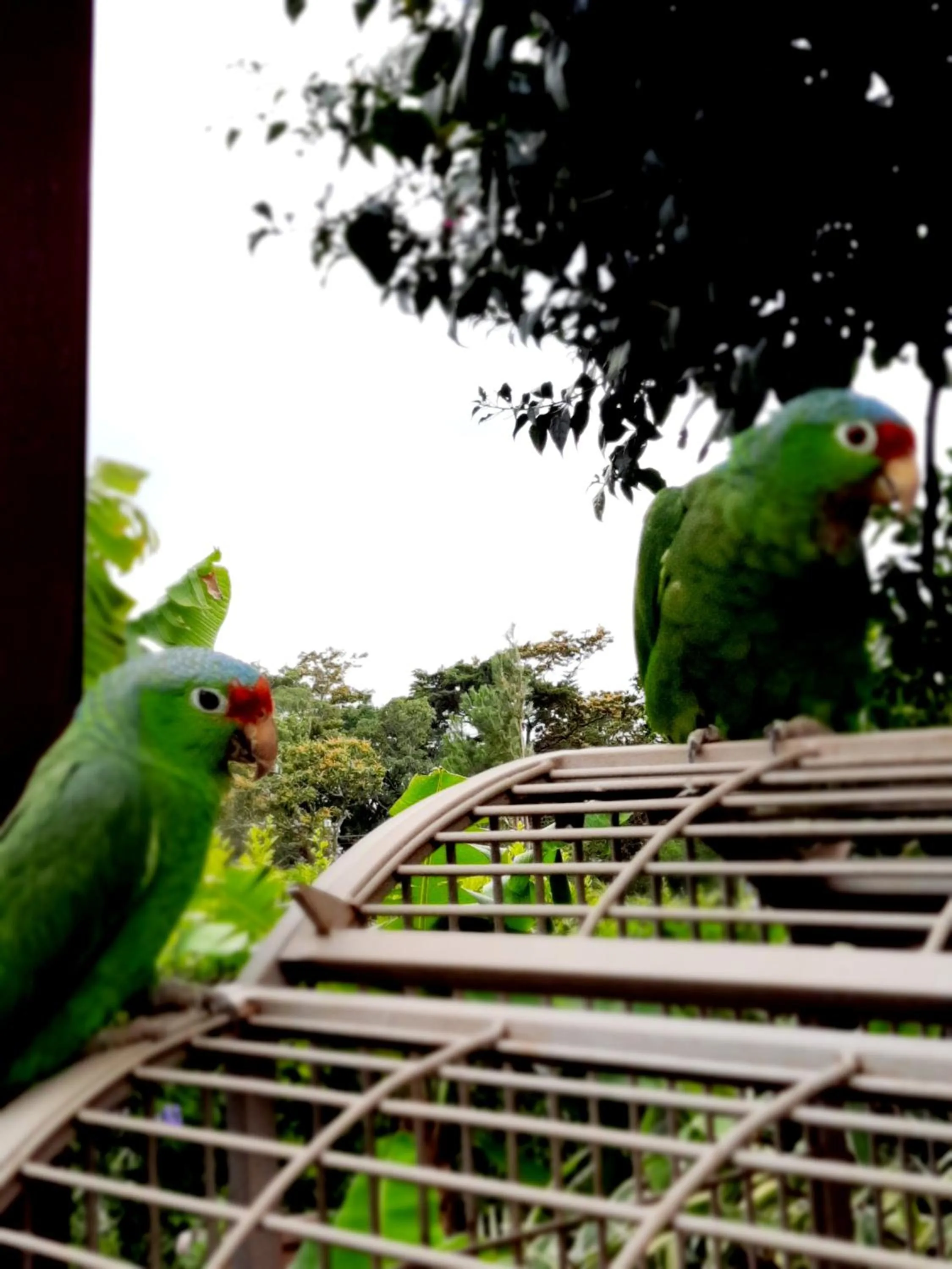 Day in Cabañas San Miguel