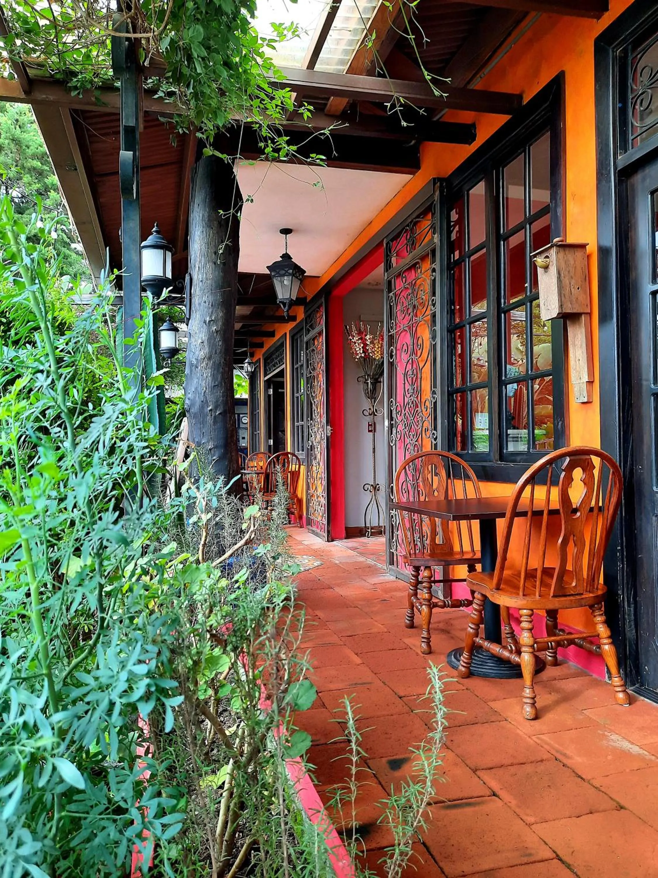 Balcony/Terrace in Cabañas San Miguel