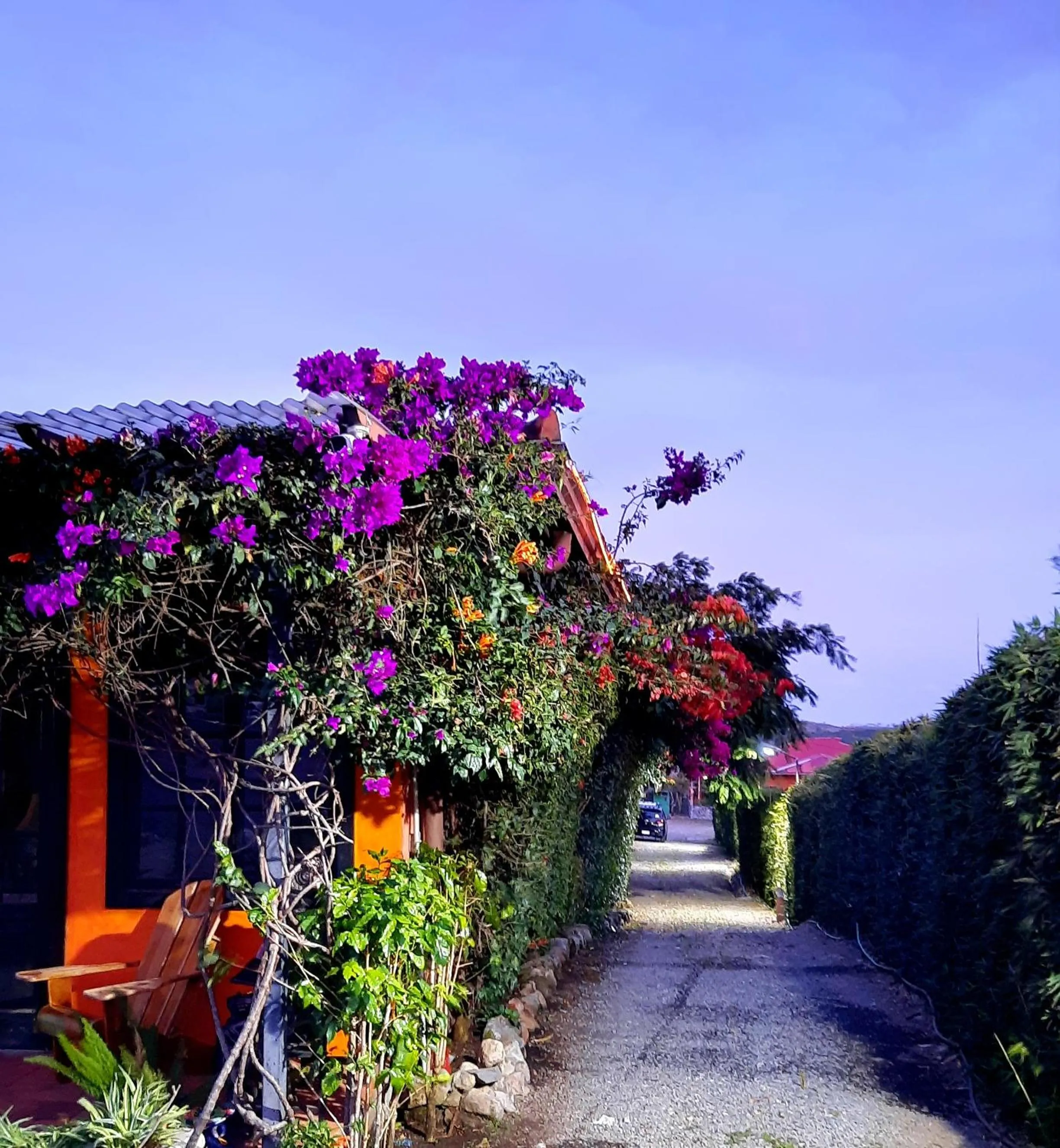 Garden in Cabañas San Miguel