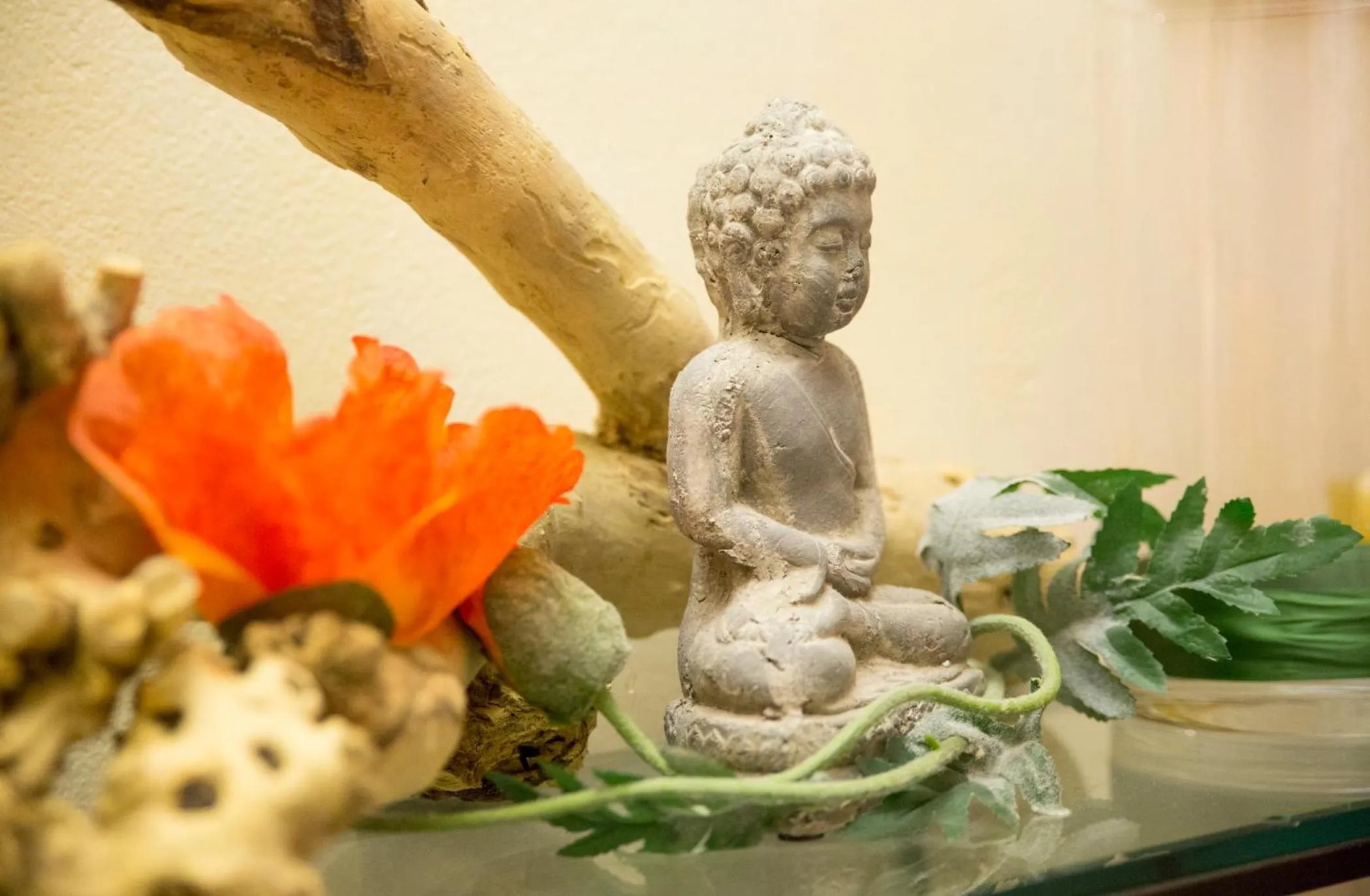 Sauna in Das Grüne Hotel zur Post - 100 % BIO