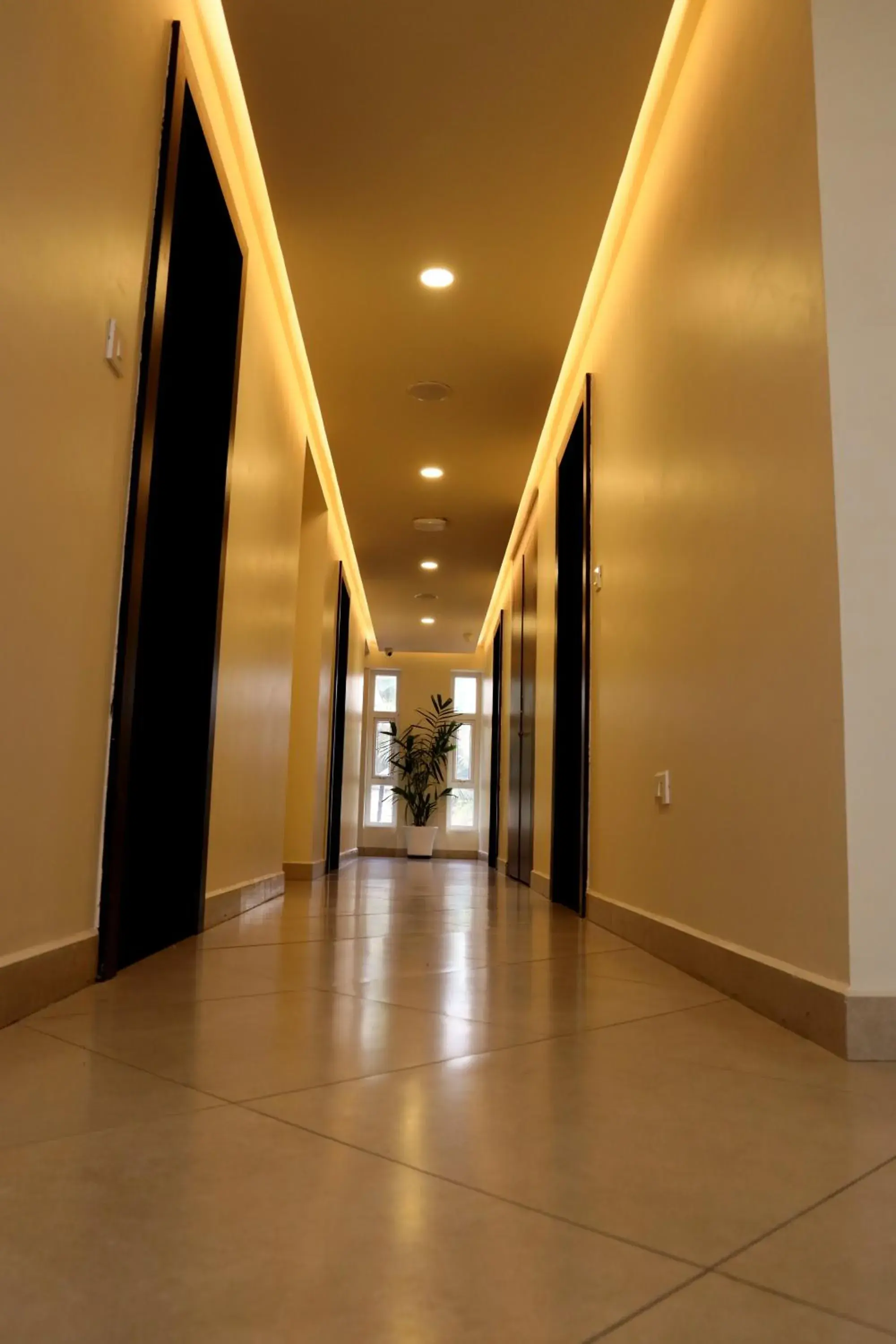 Property building in Lavender Infopark Kochi Property building in Lavender Infopark Kochi