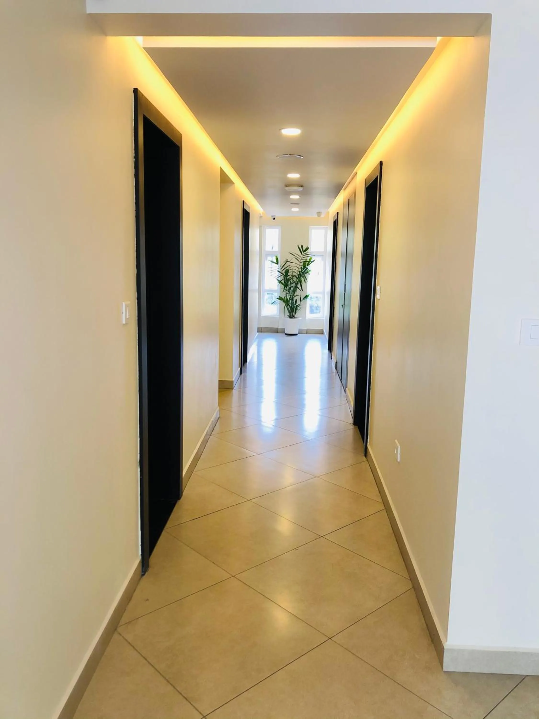 Other in Lavender Infopark Kochi