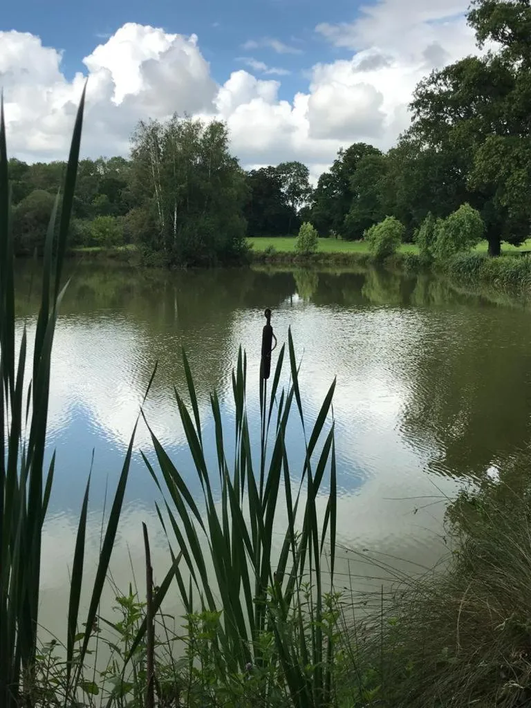 Lake view in Domaine du clos henri