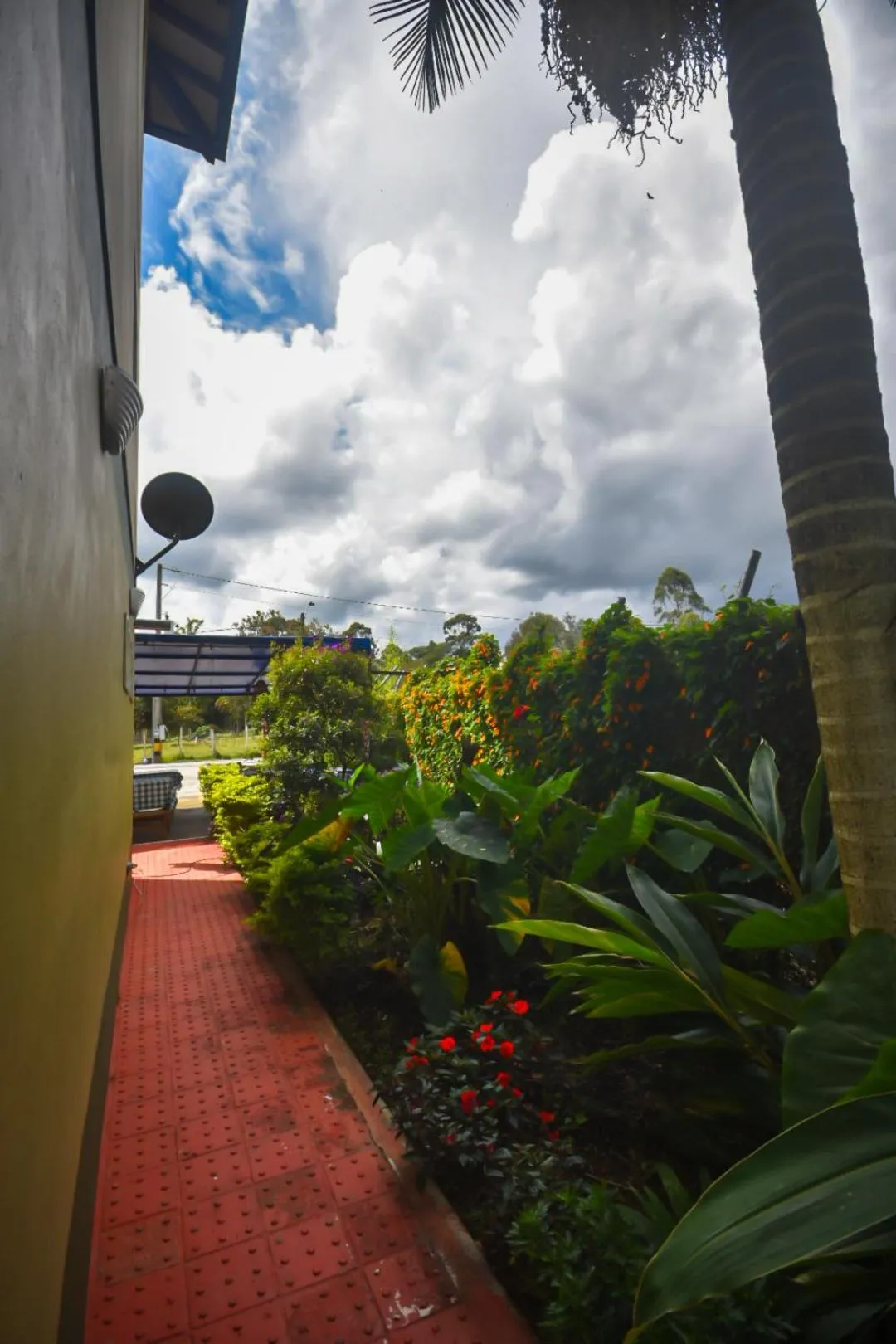 Spring in Finca Hotel Zona Franca