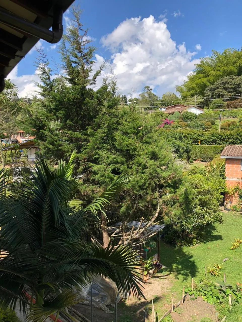 Natural landscape in Finca Hotel Zona Franca