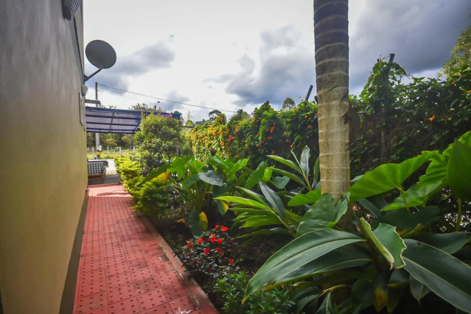 Spring in Finca Hotel Zona Franca