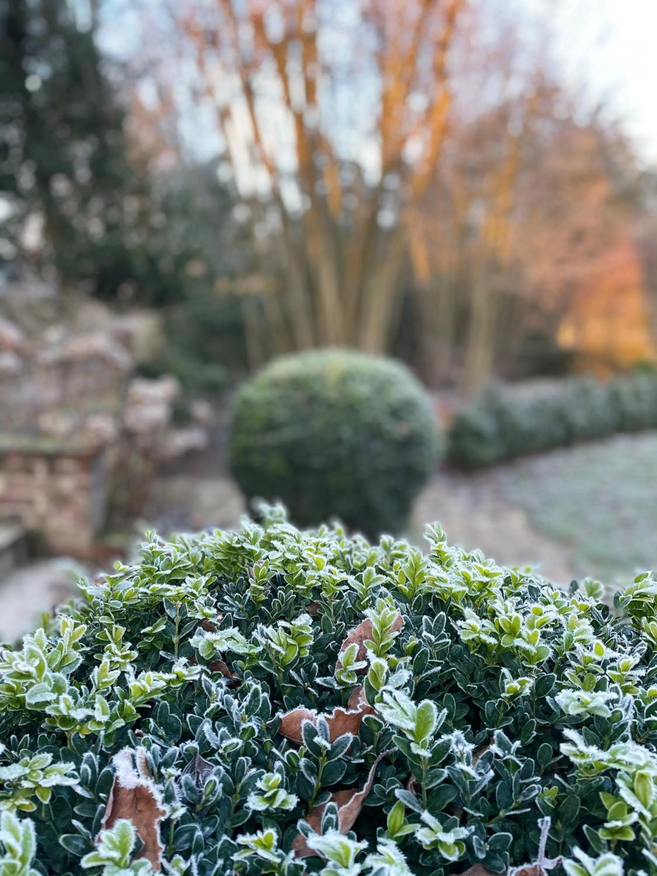 L'Atelier des Magnolias