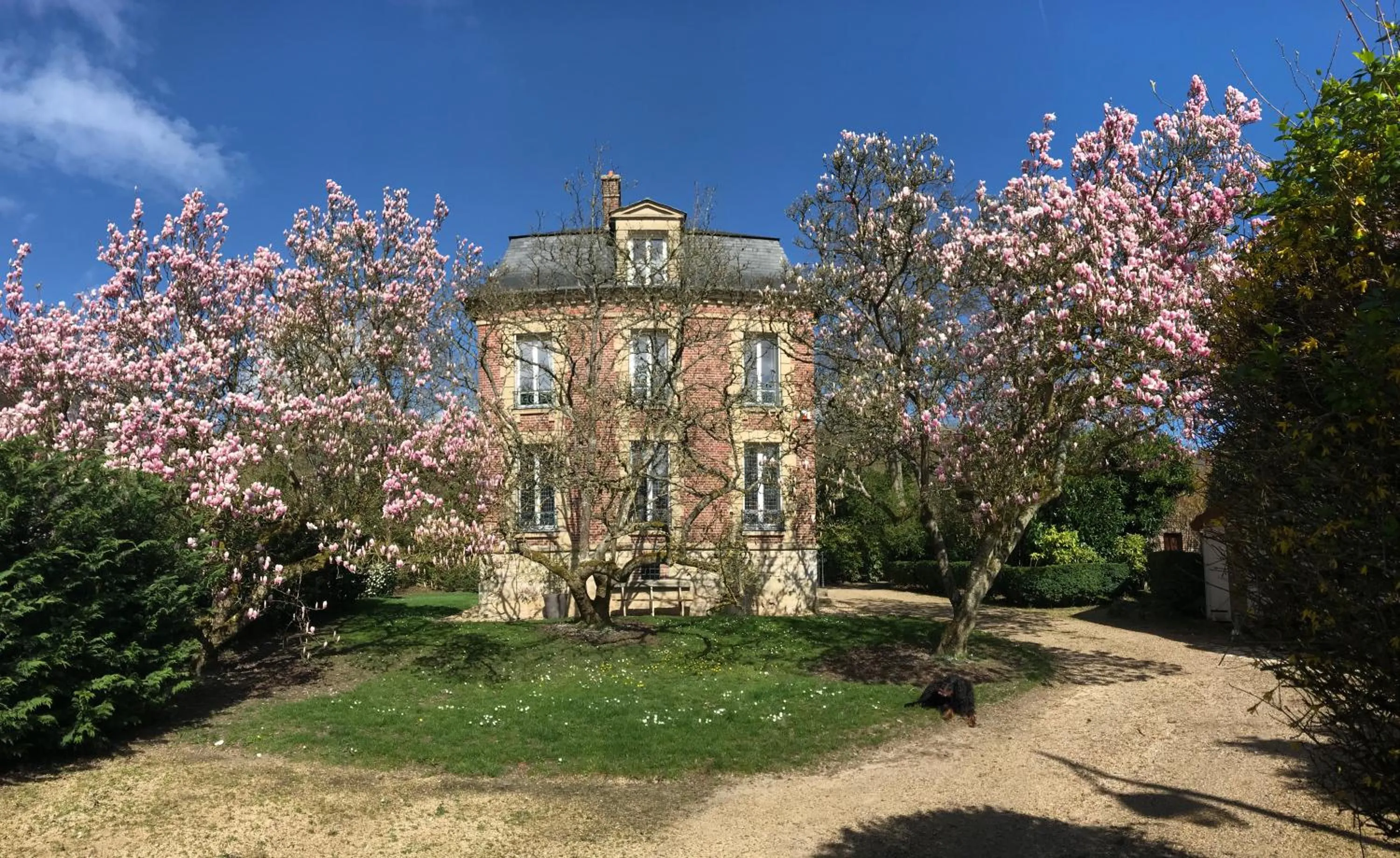 L'Atelier des Magnolias