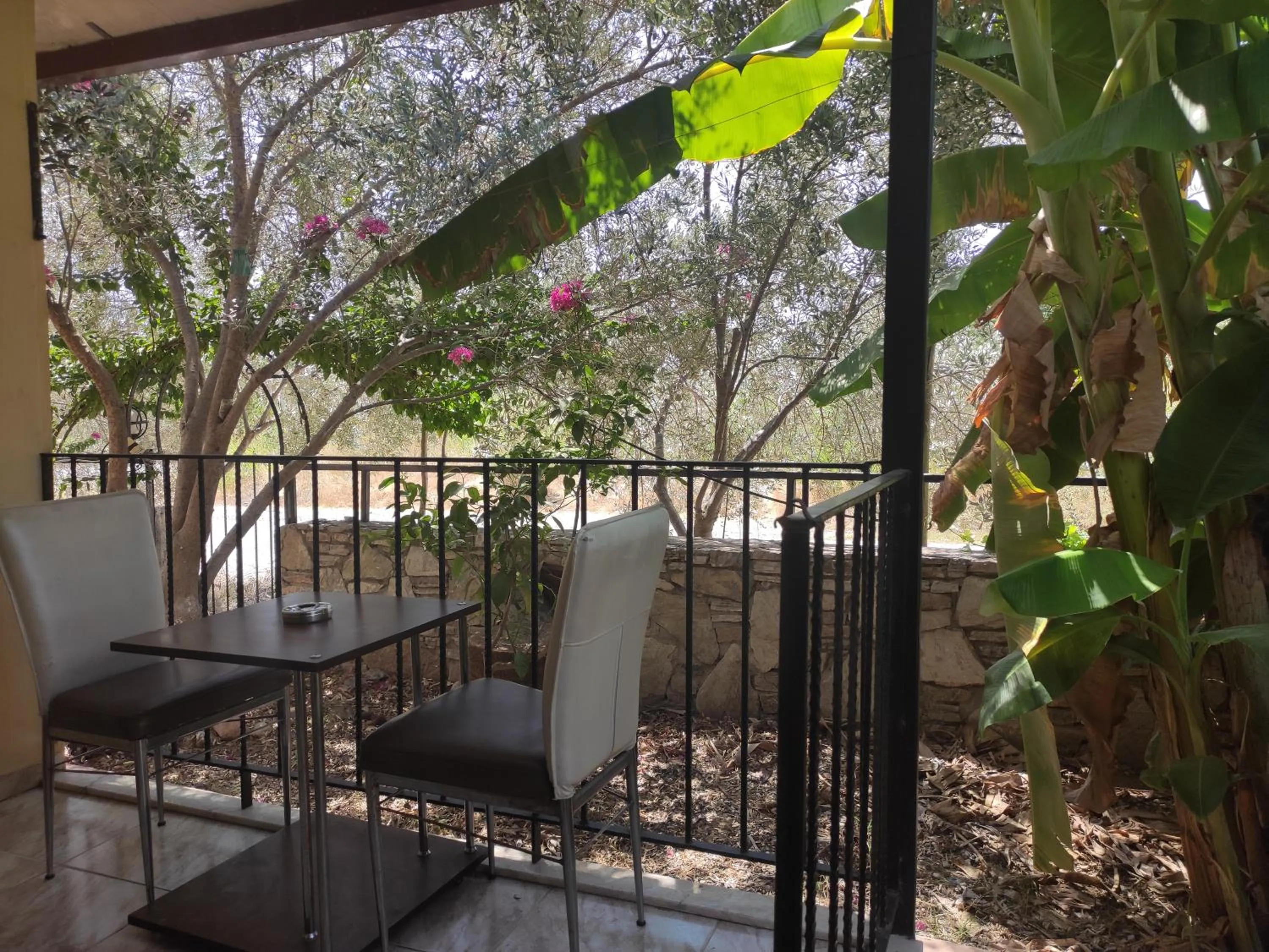Balcony/Terrace in çileks apart otel
