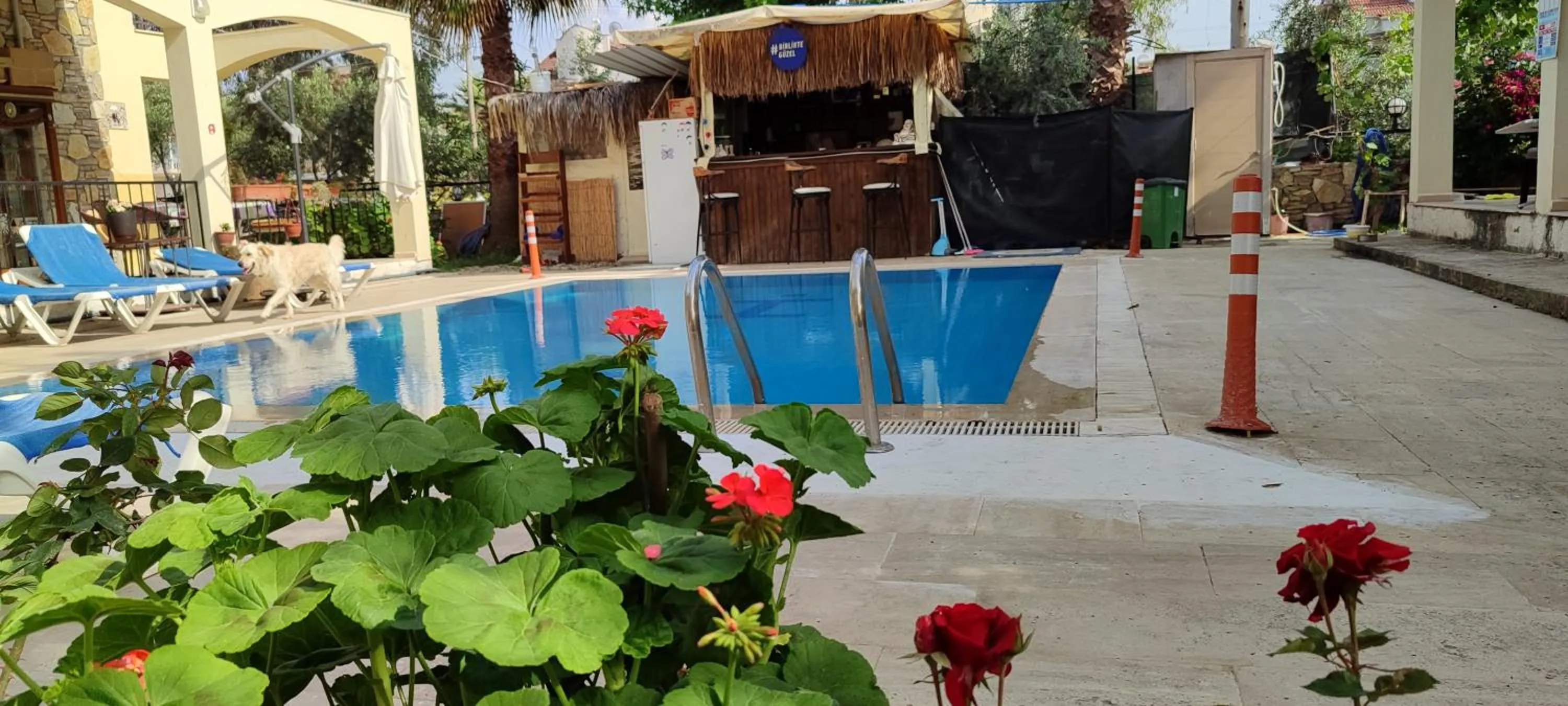 Lounge or bar in çileks apart otel