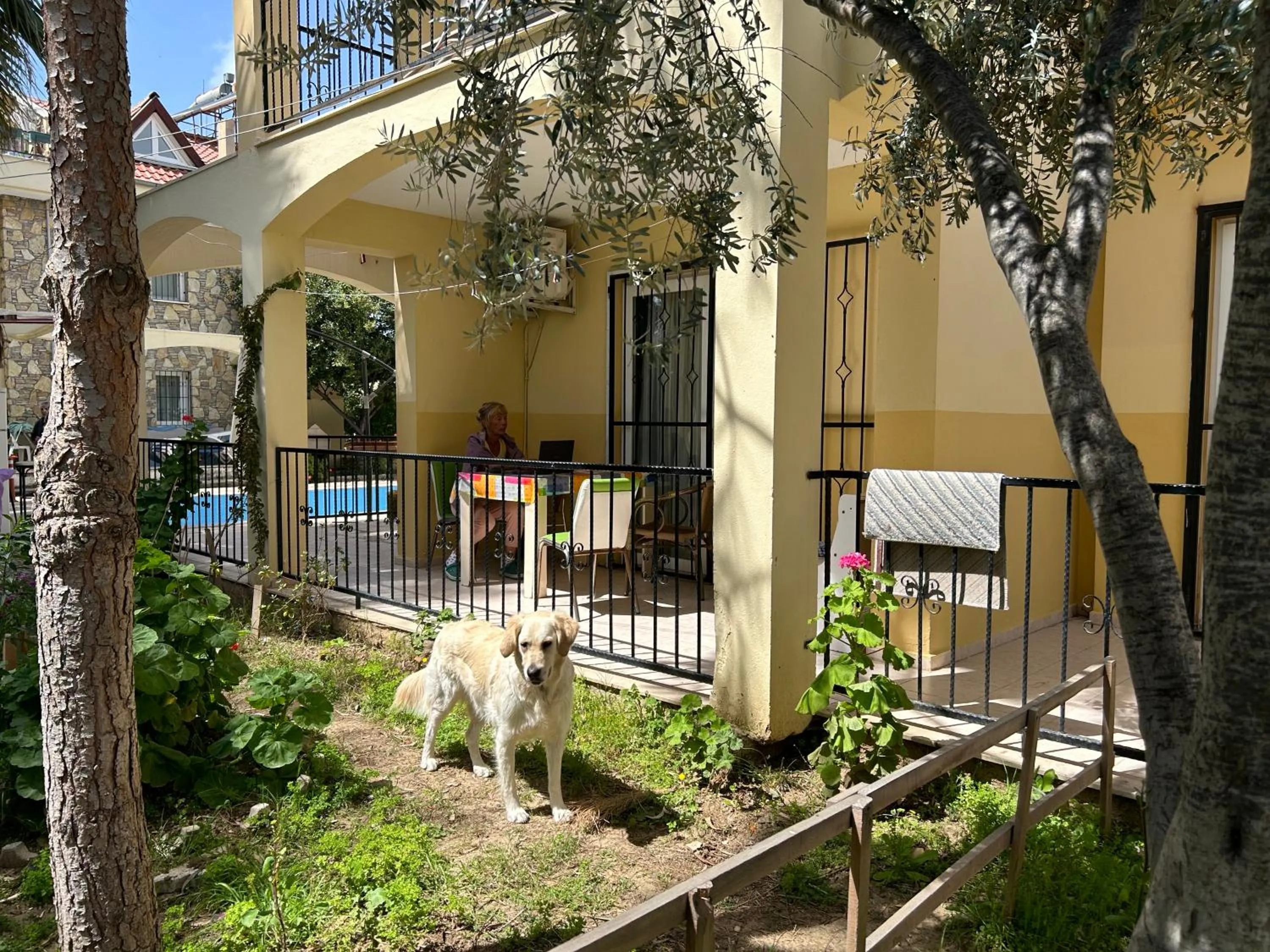 Property building in çileks apart otel