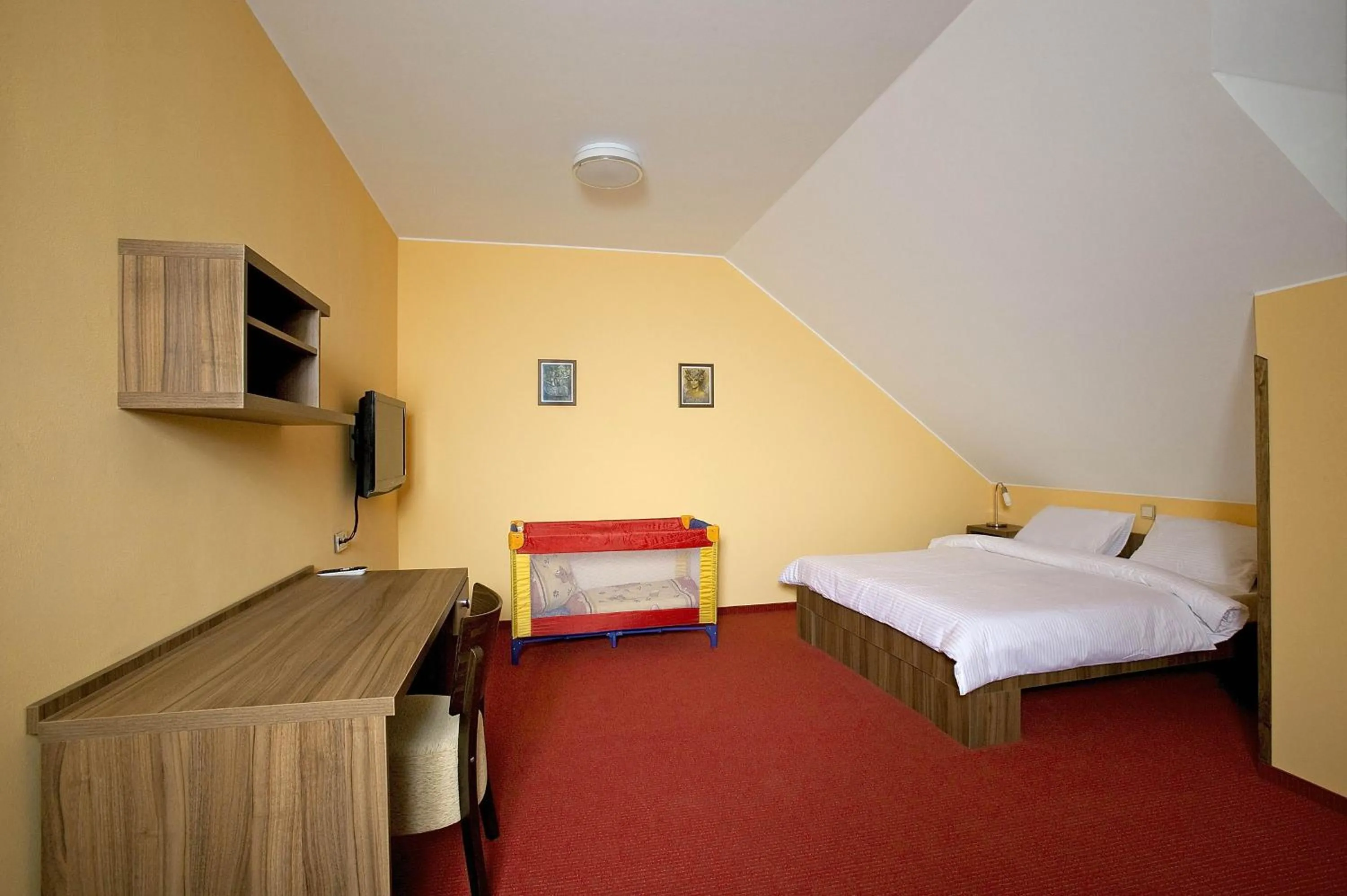 Double Room - single occupancy in Penzion Na Hvězdě