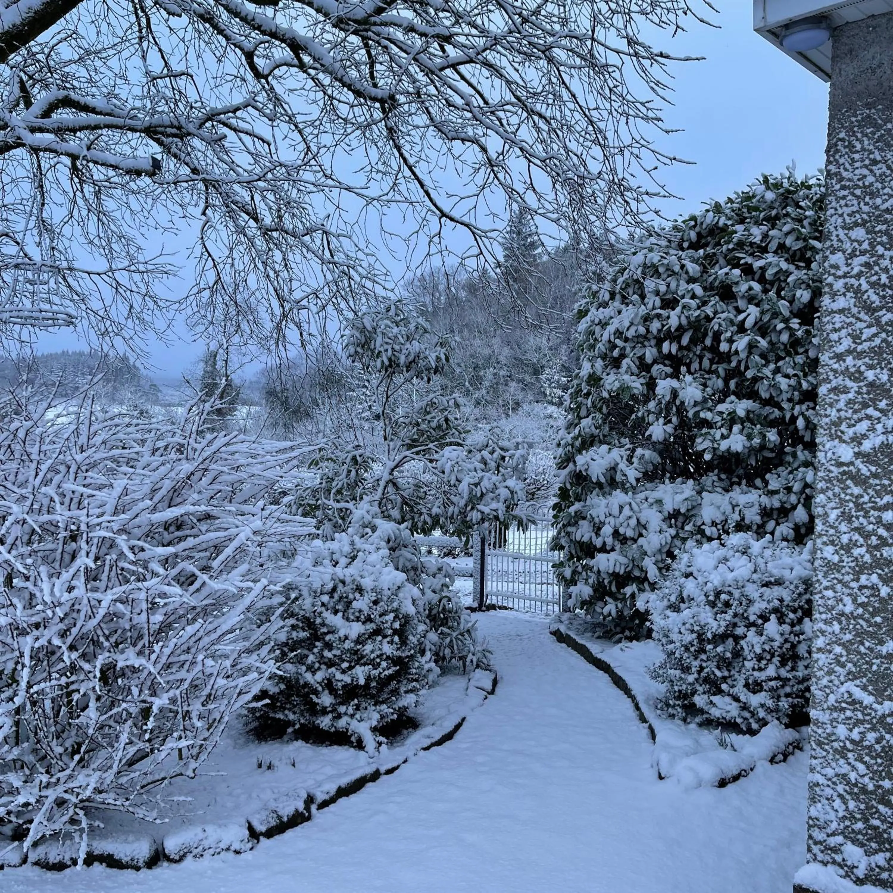 Winter in Elm Tree Cottage