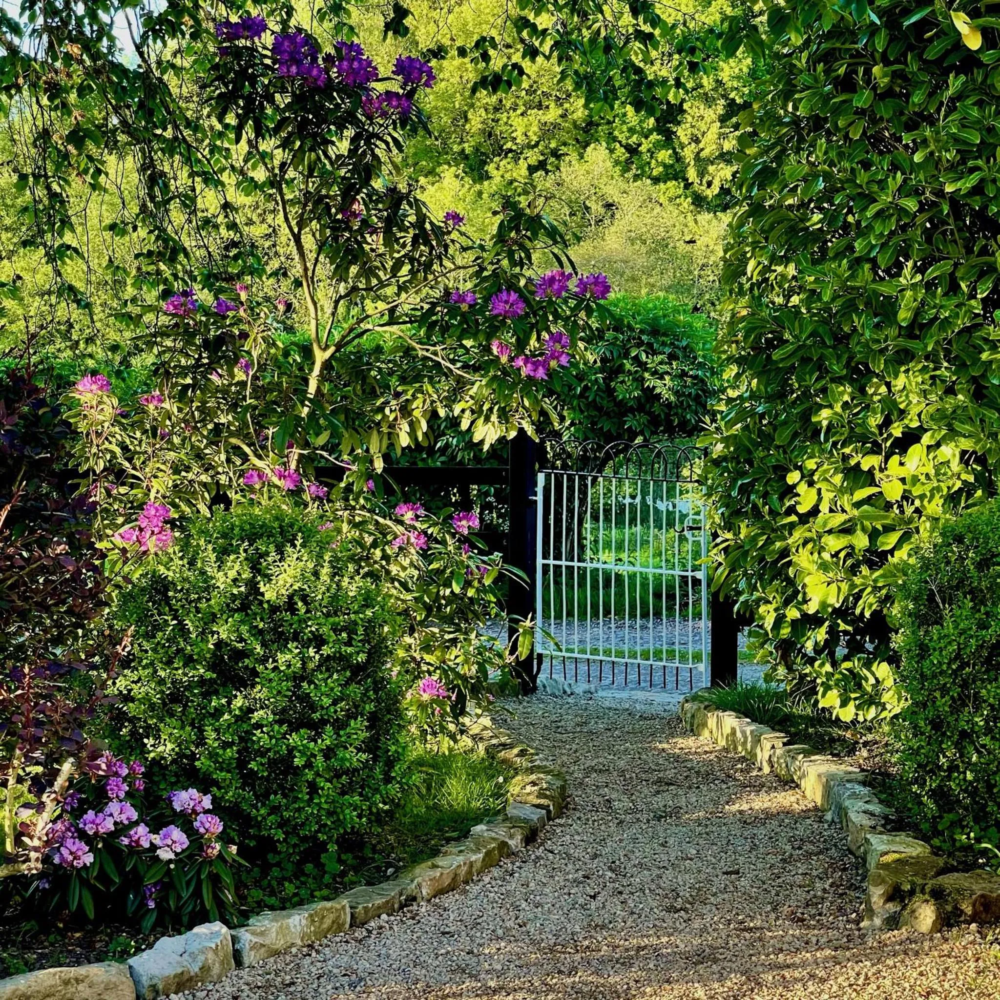 Garden in Elm Tree Cottage