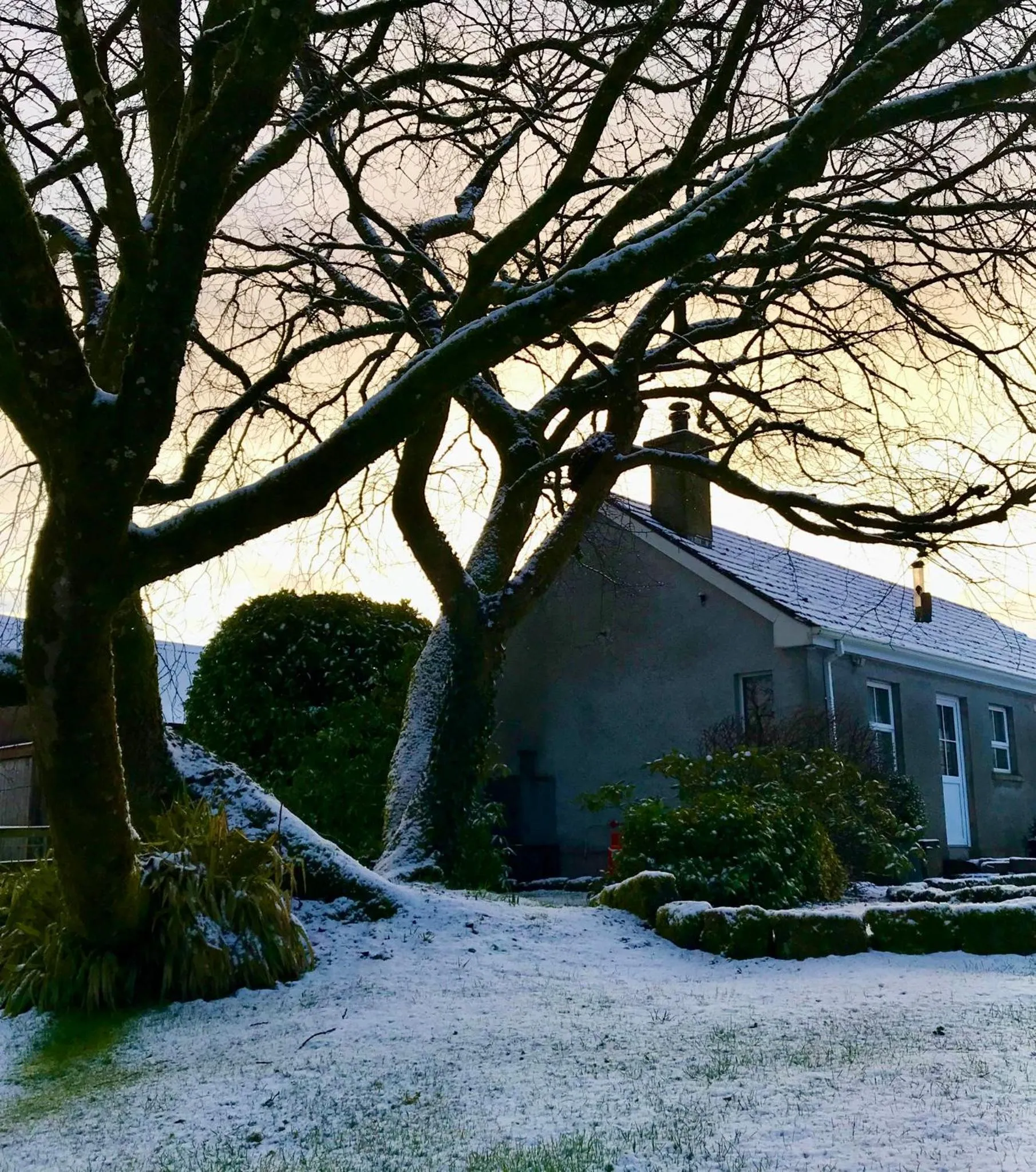 Property building in Elm Tree Cottage