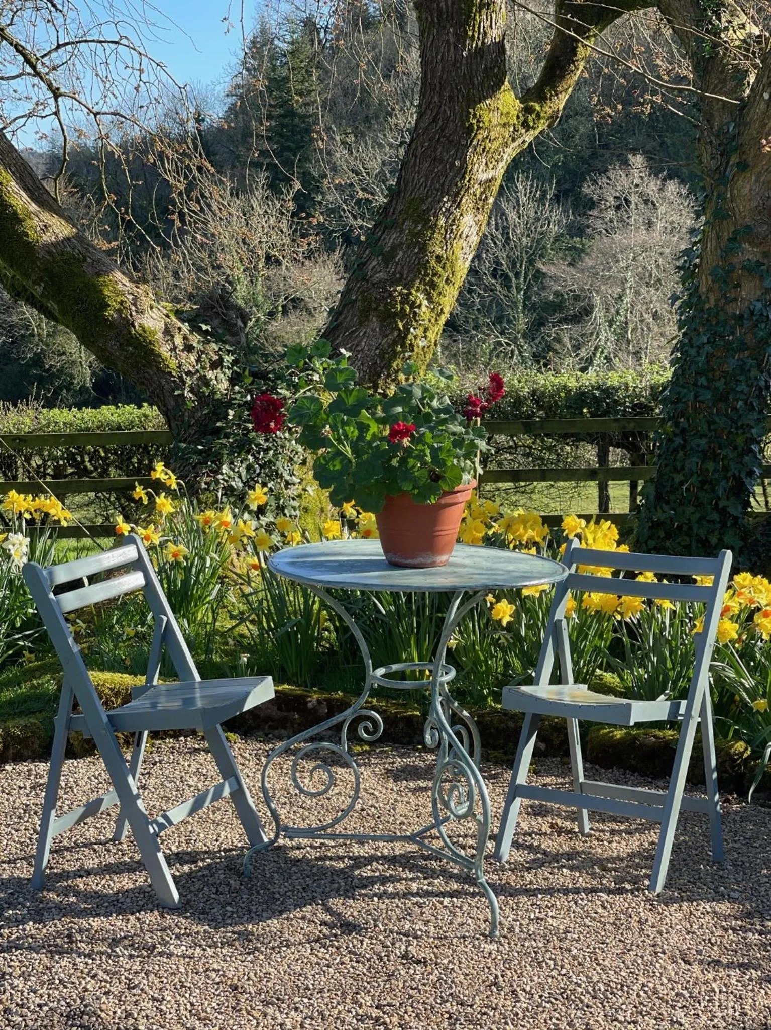 Patio in Elm Tree Cottage