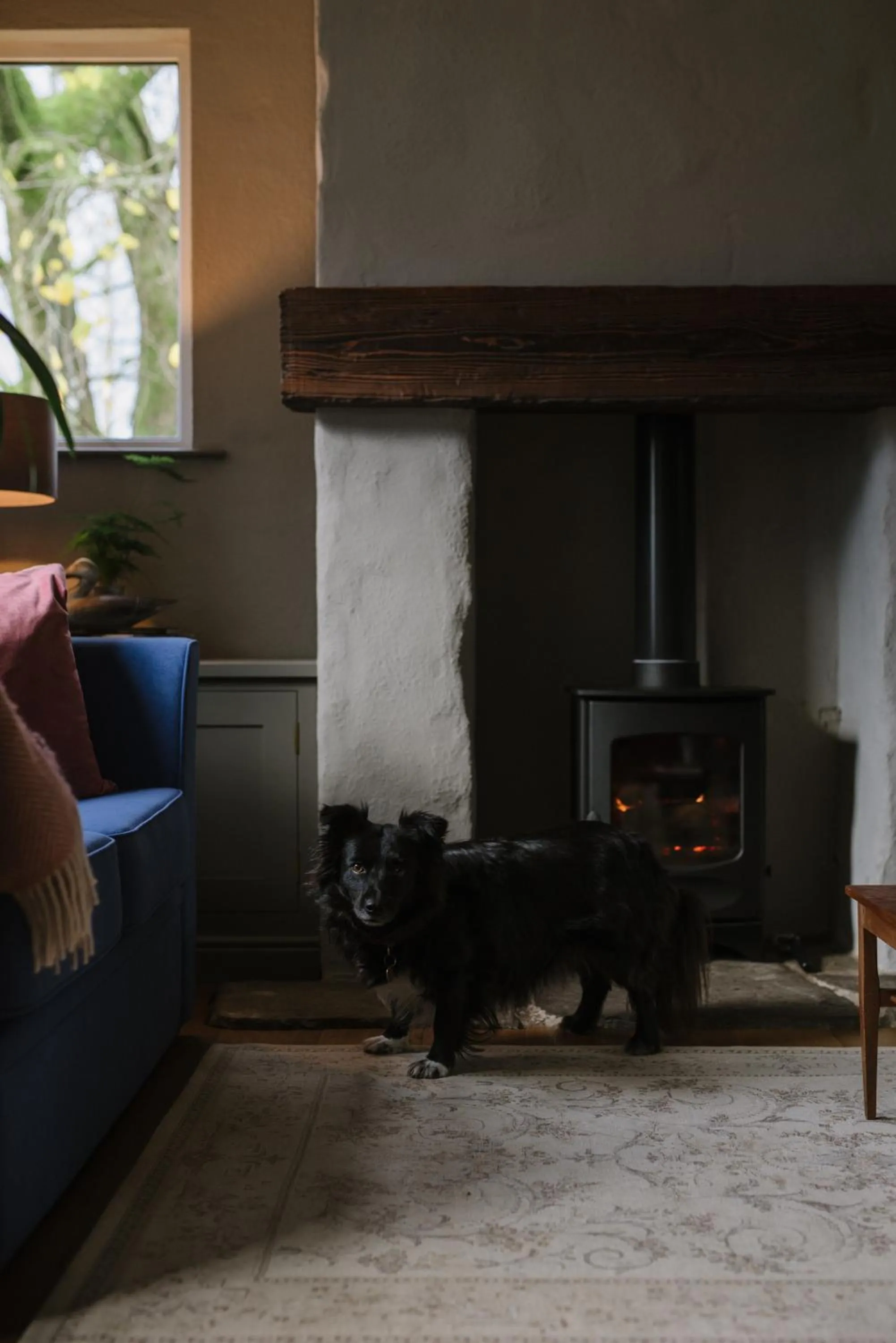 Living room in Elm Tree Cottage