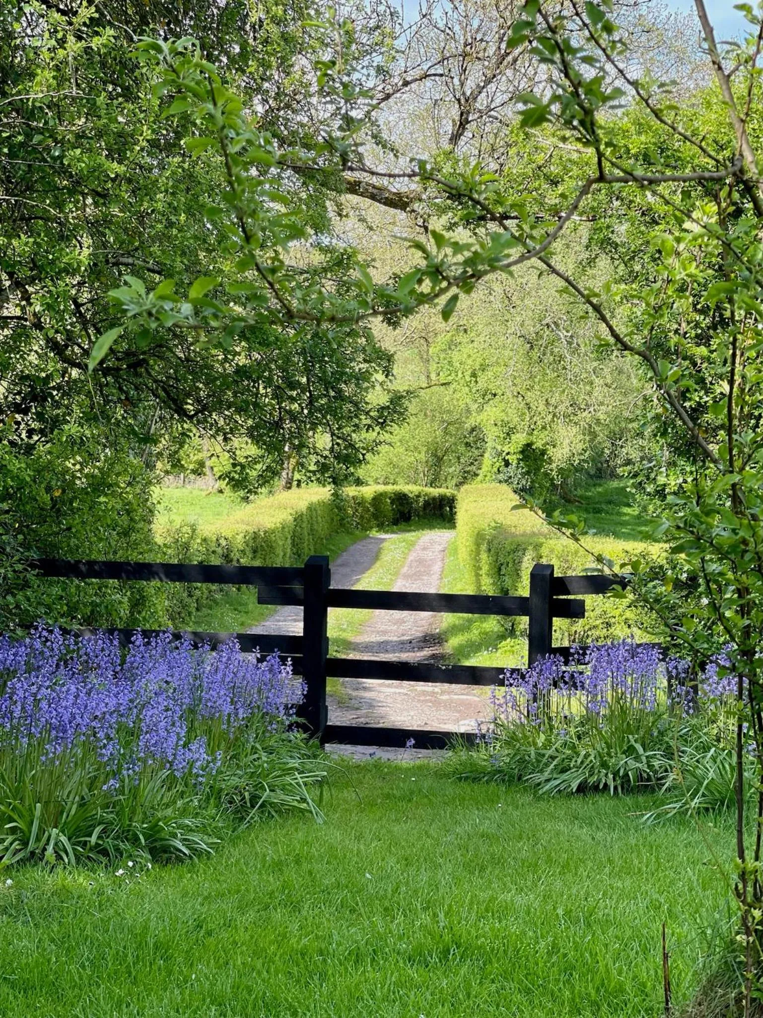 Garden in Elm Tree Cottage