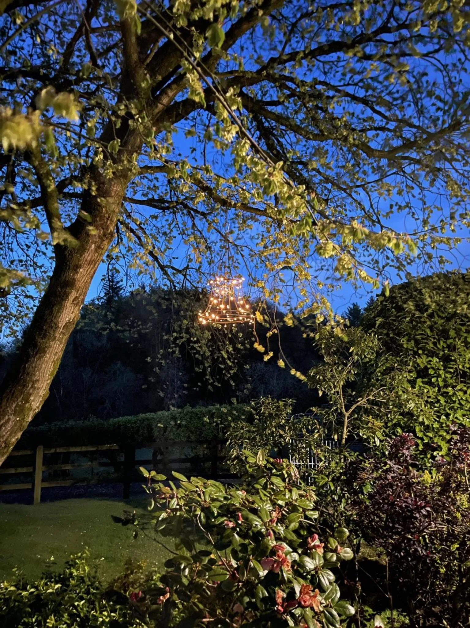 View (from property/room) in Elm Tree Cottage