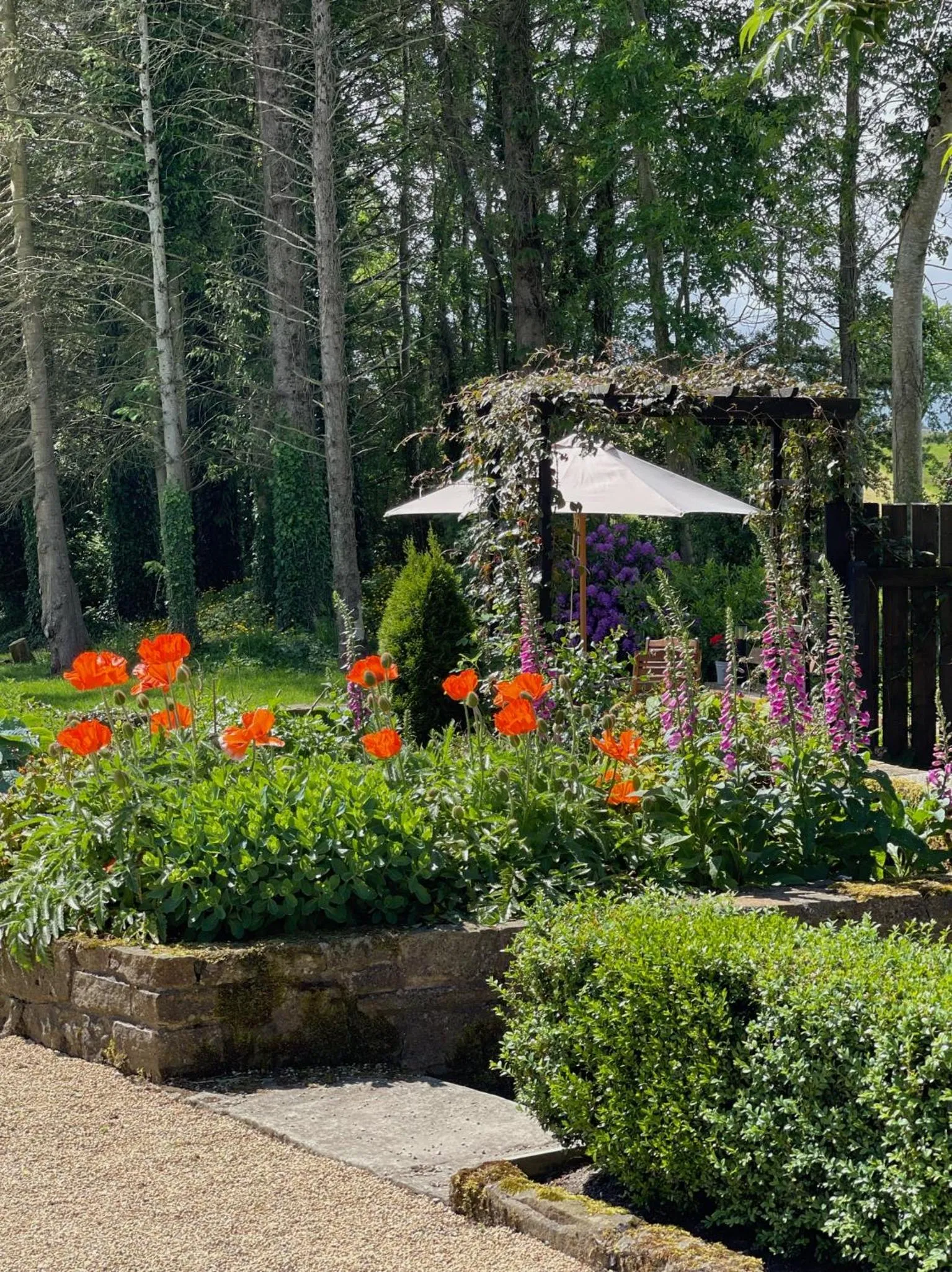 Garden in Elm Tree Cottage