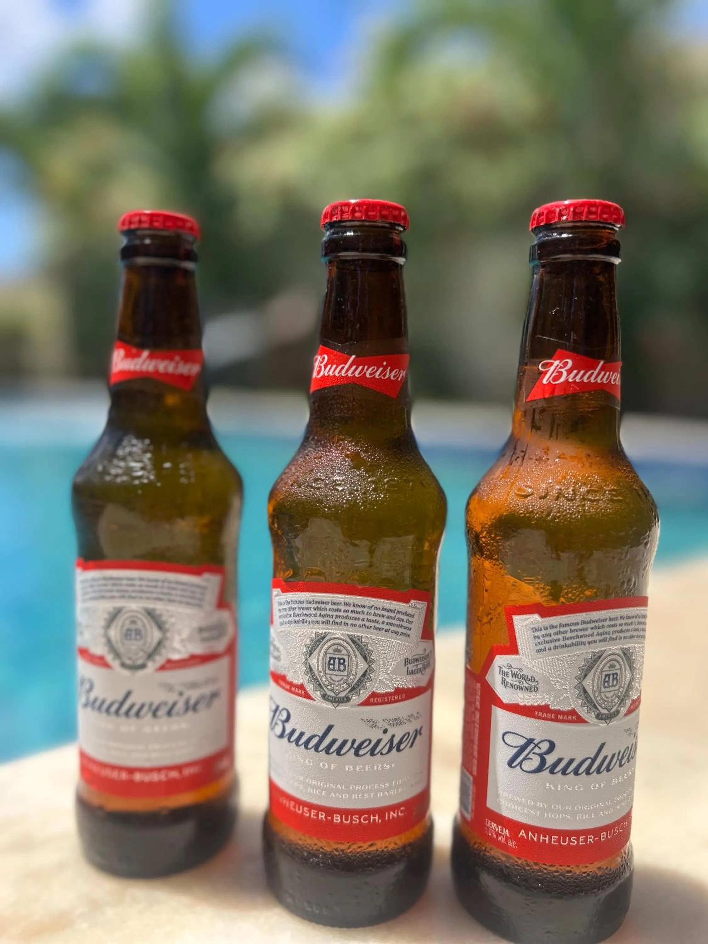 POUSADA RANCHO PARAISO