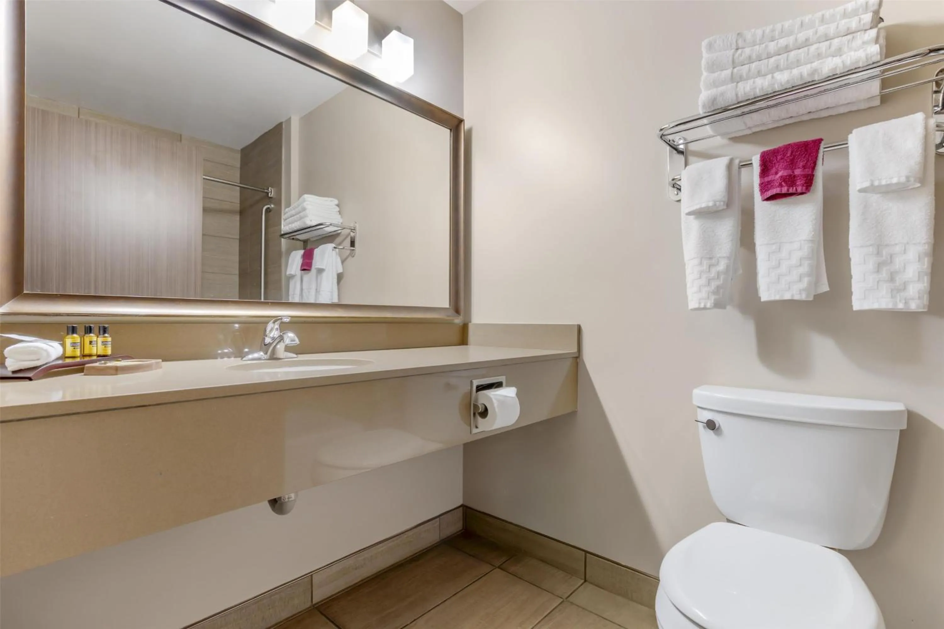 Bathroom in Best Western Plus Winnipeg West