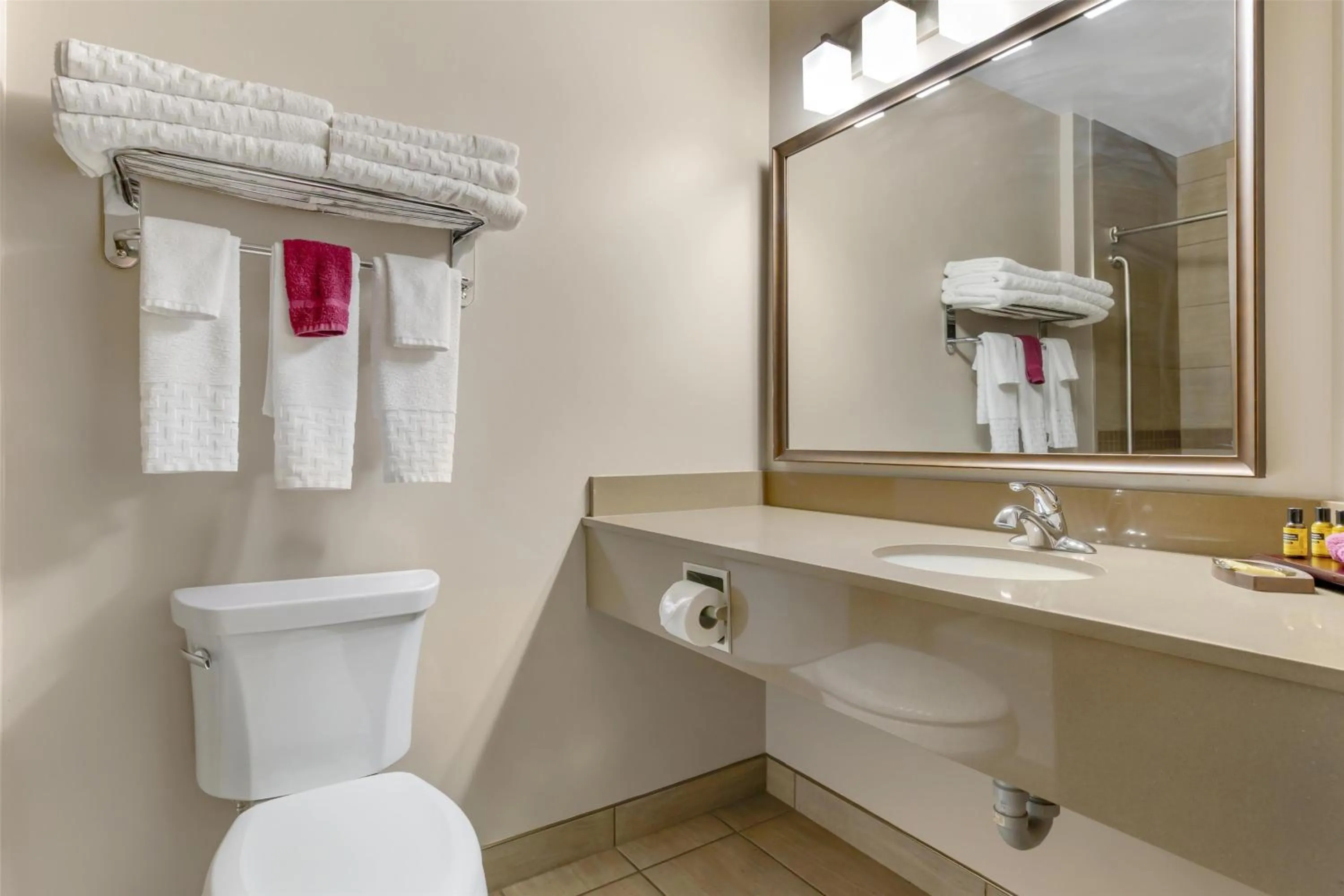 Bathroom in Best Western Plus Winnipeg West