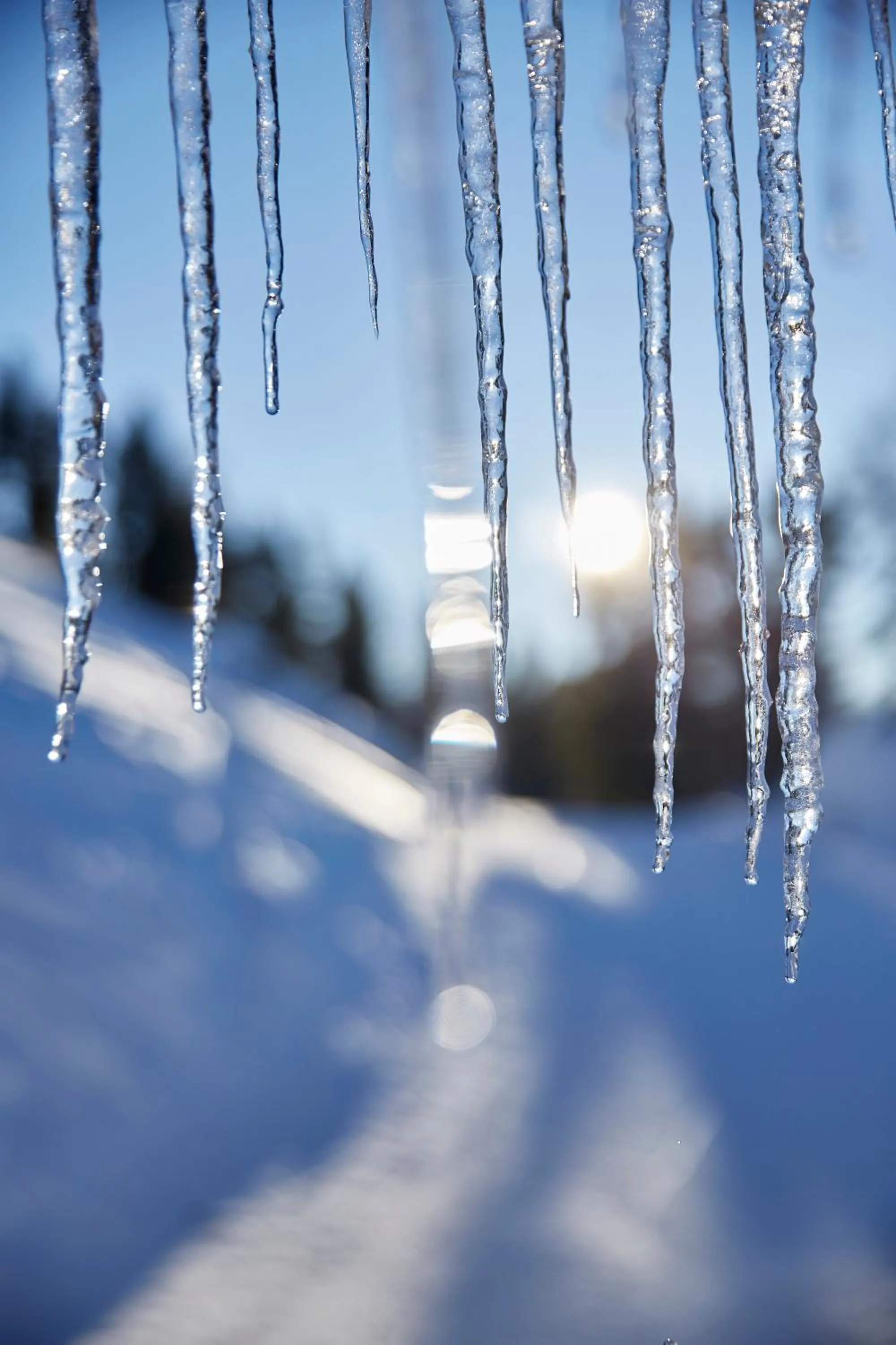 Winter in Alpine Spa Hotel Haus Hirt