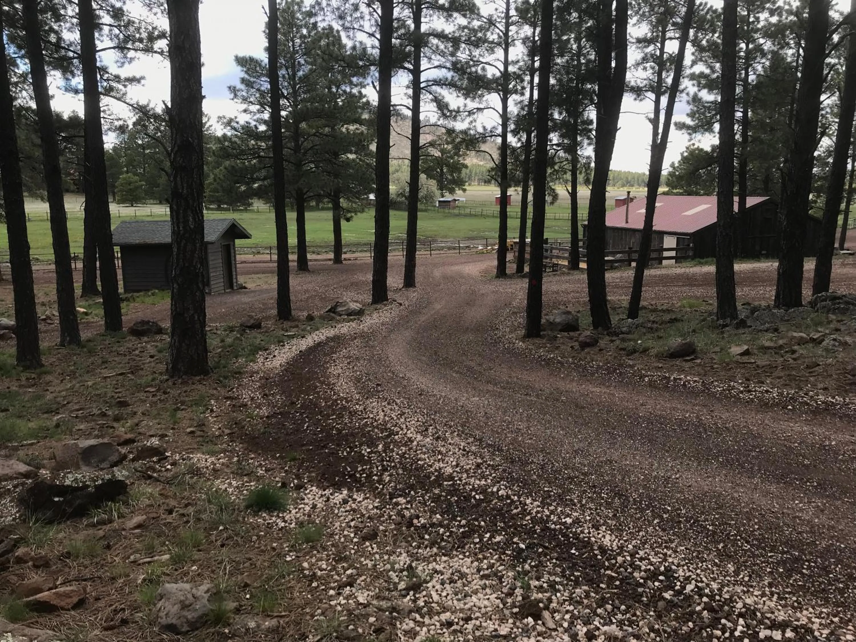 Horse-riding in Grand Canyon Cottage at Historic Wrigley Ranch with Horseback Riding & Hiking