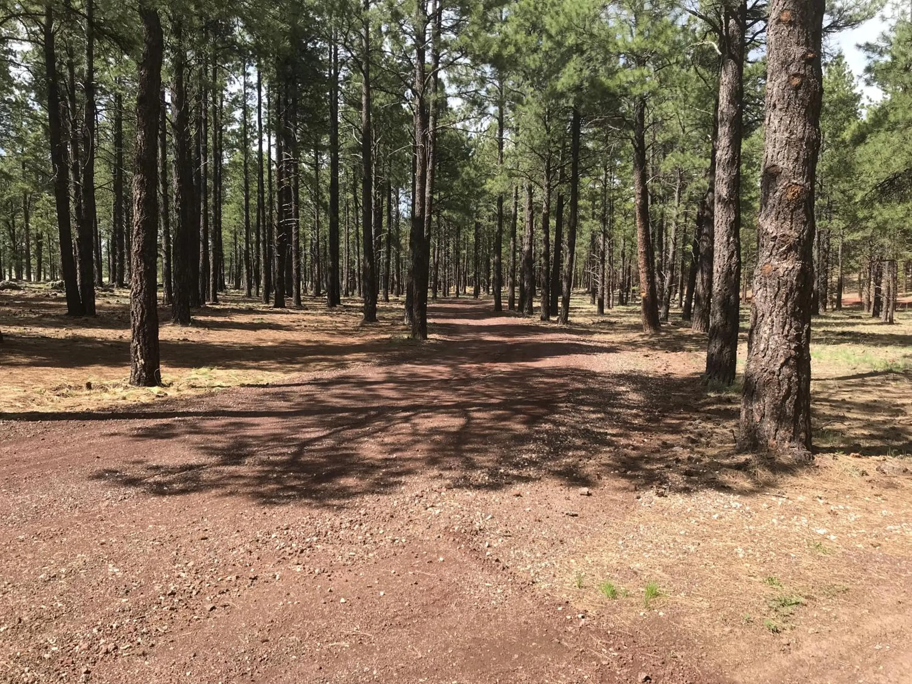 Natural landscape in Grand Canyon Cottage at Historic Wrigley Ranch with Horseback Riding & Hiking