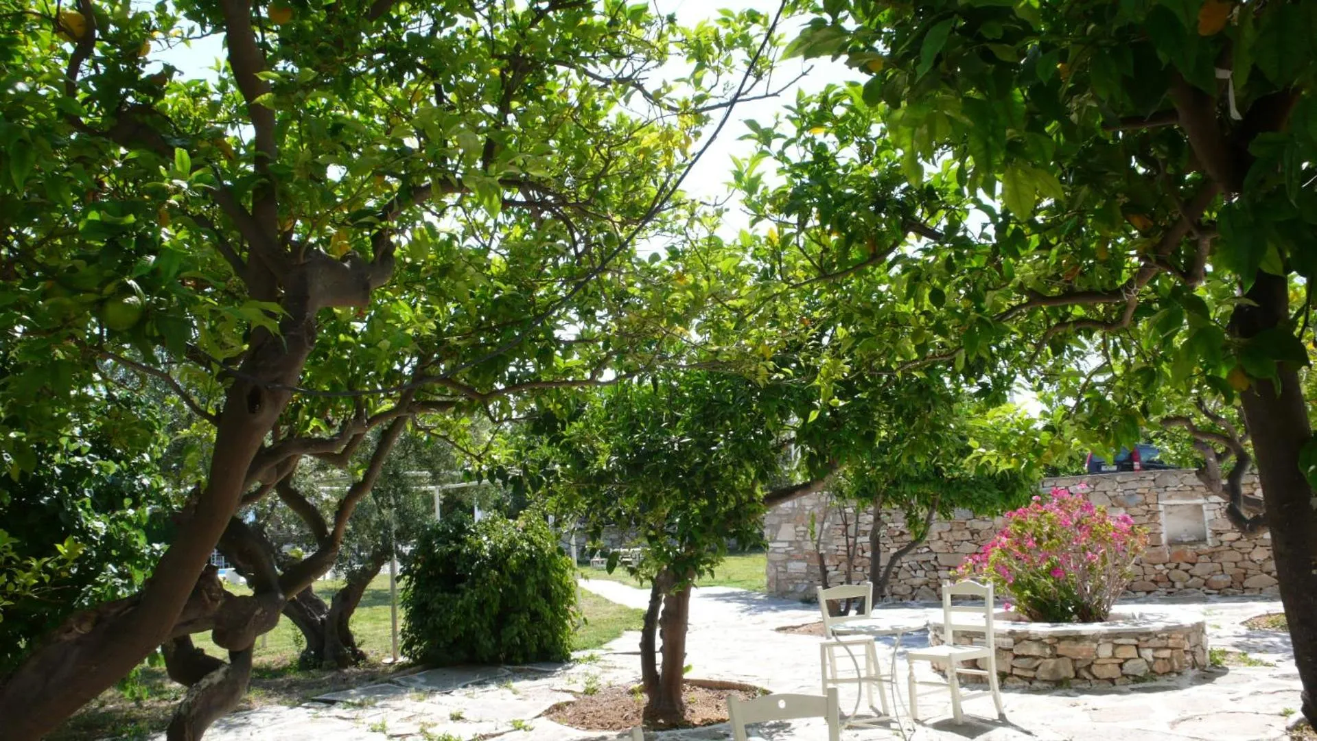 Garden in Hotel Anezina