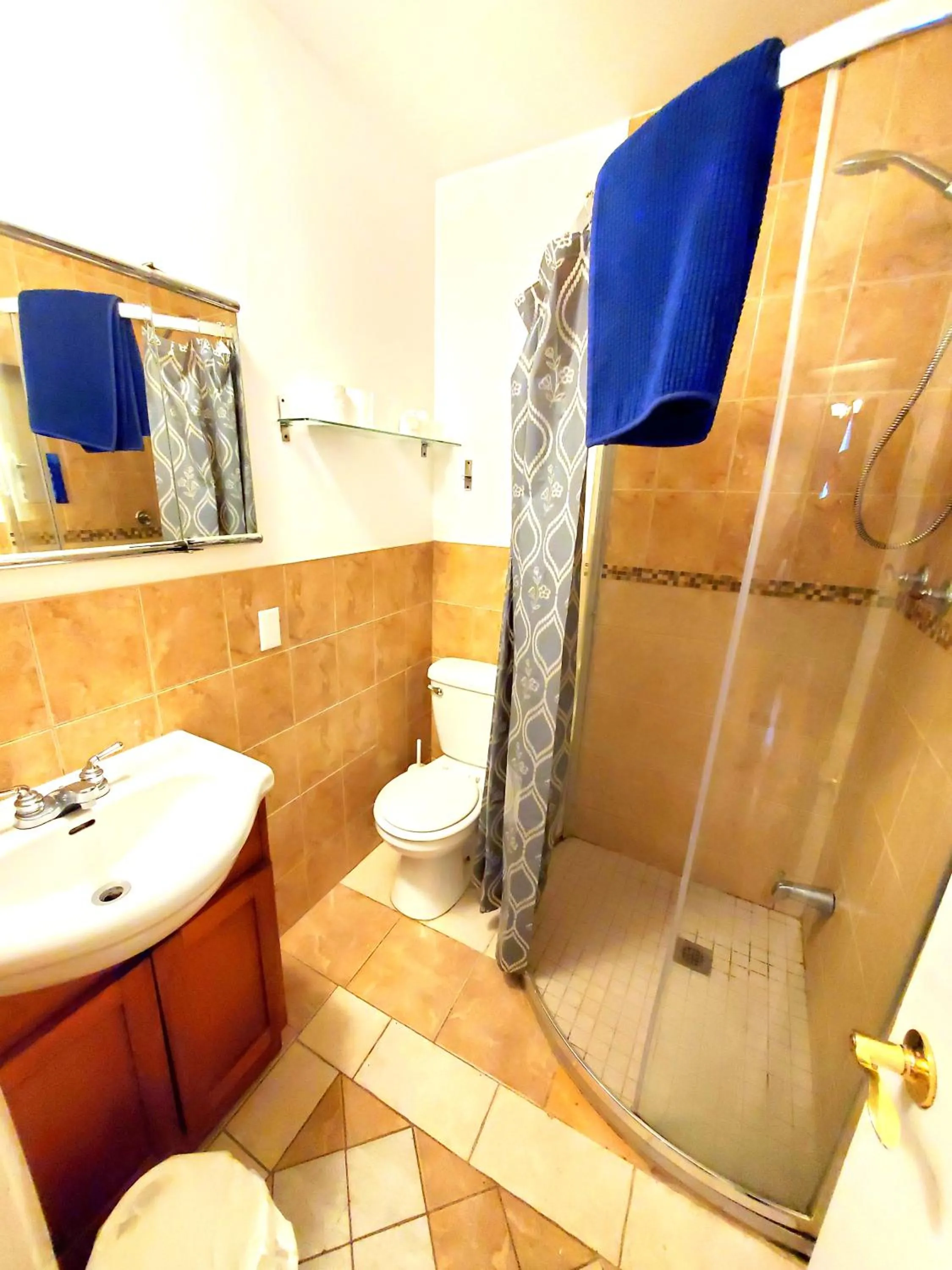 Shower in Maison Montplaisir