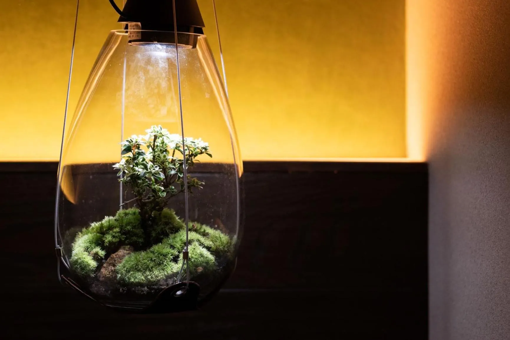 Decorative detail in Nazuna Obi Onsen Resort