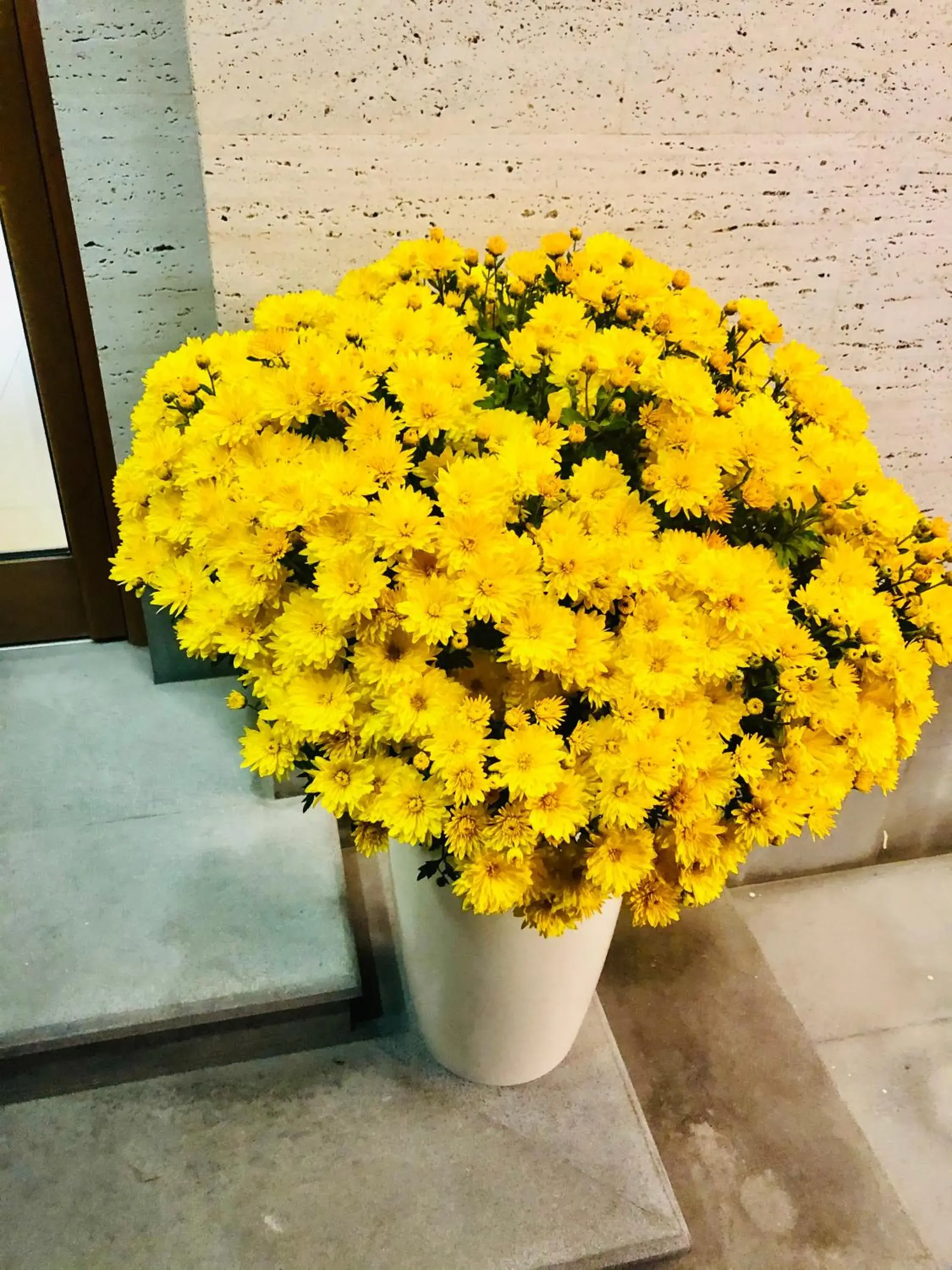 Property building in Grand Fortune Hotel Property building in Grand Fortune Hotel