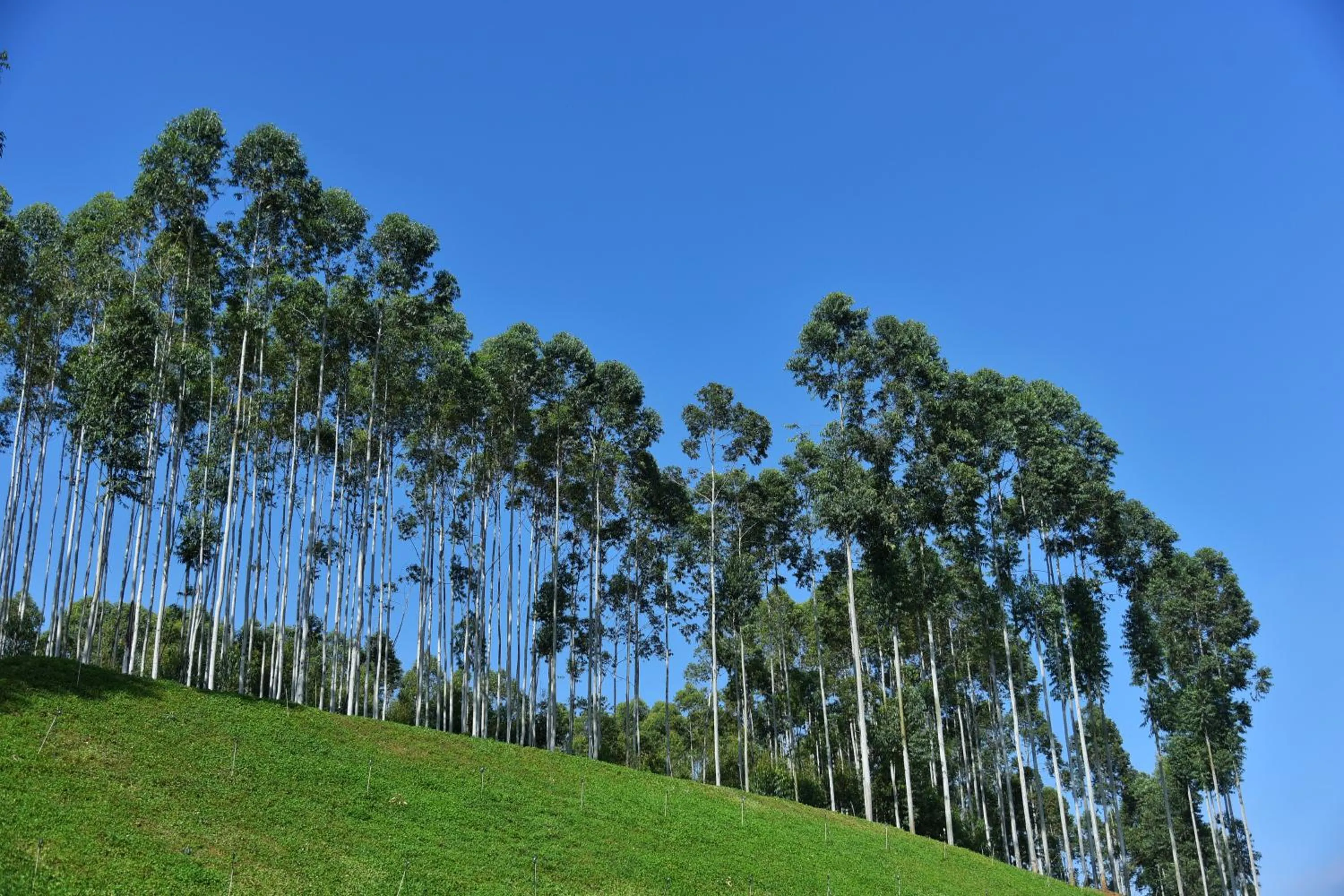 Property building in DongFengYun Hotel Mi'Le - MGallery Collection