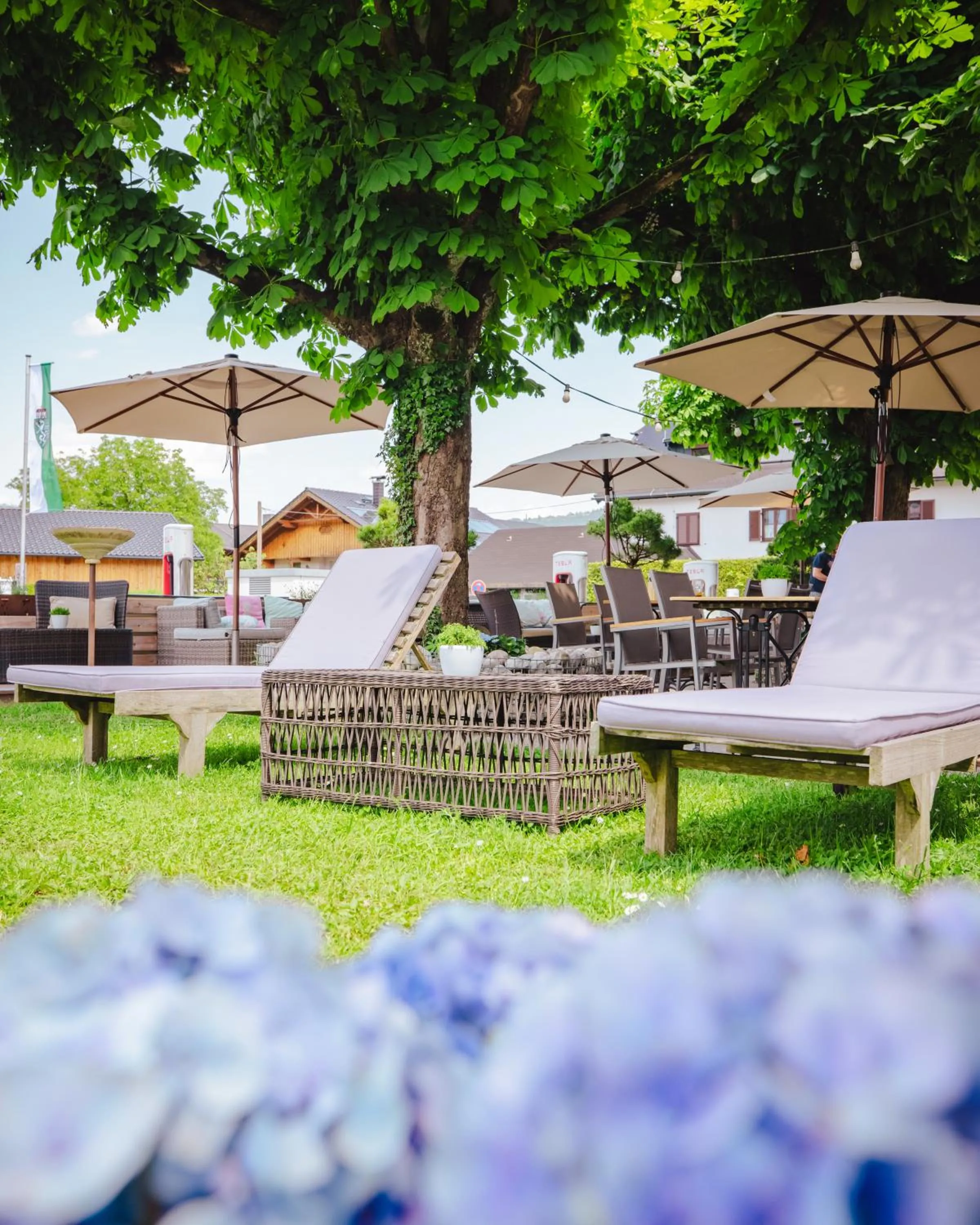 Garden in Hotel Kaiserhof