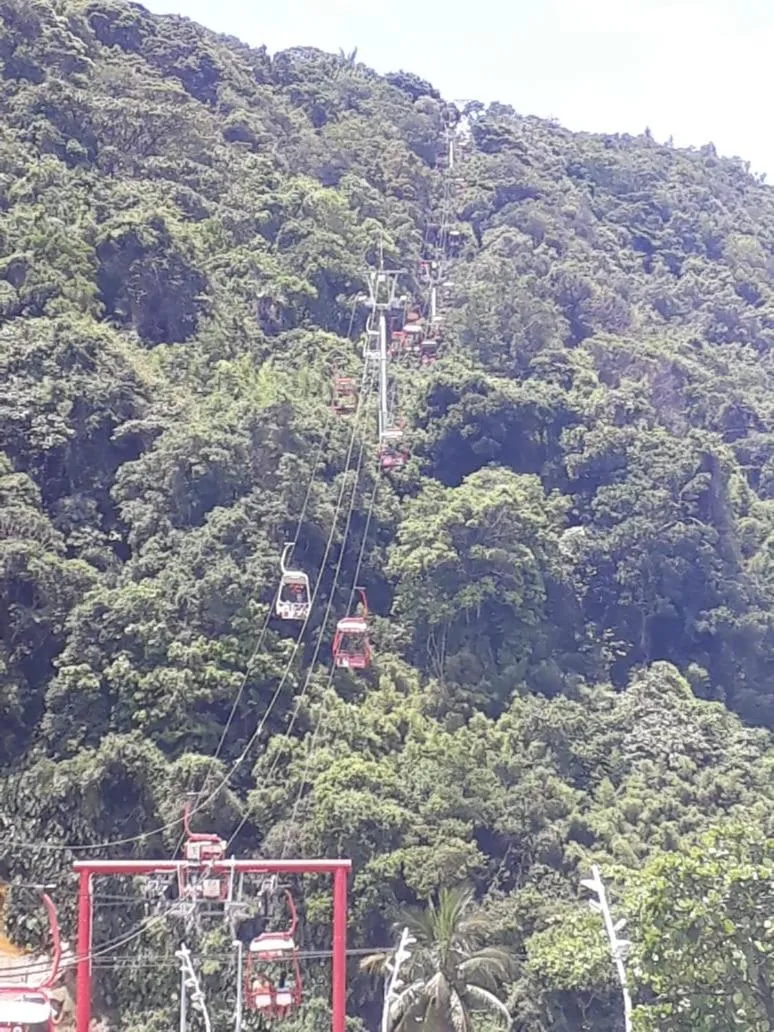 Palladium Apart Service