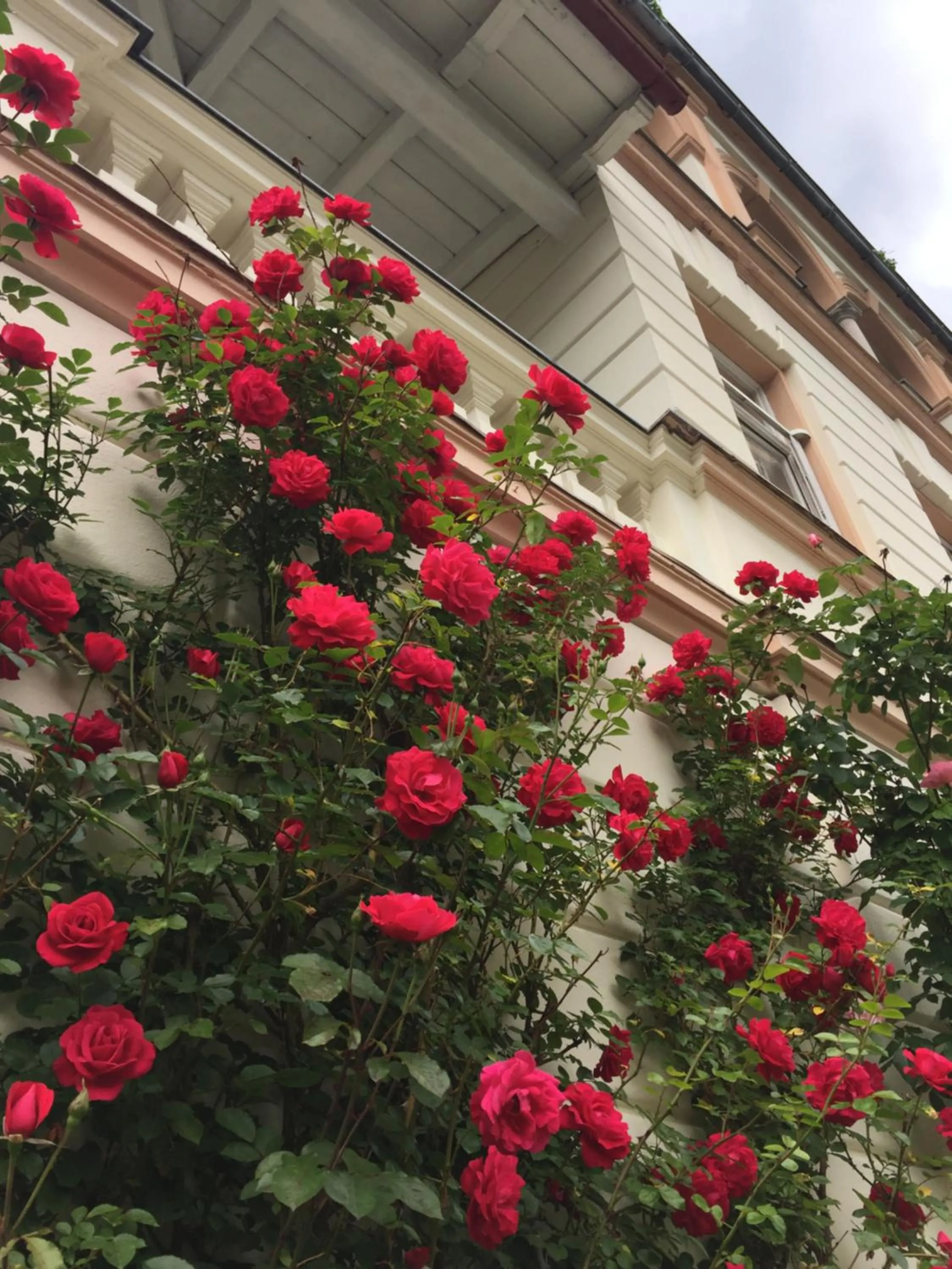 Villa Excelsior Hotel & Kurhaus